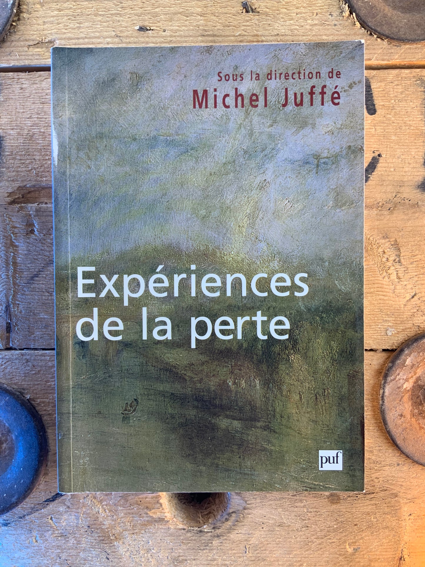 Expériences de la perte - Michel Juffe