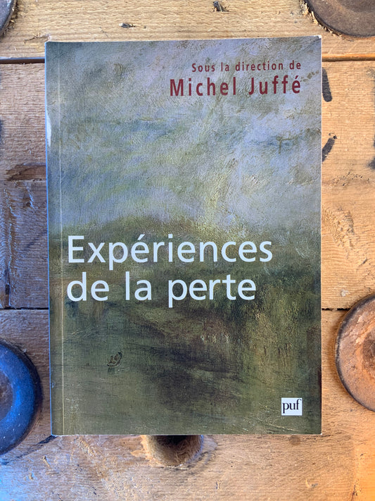 Expériences de la perte - Michel Juffe