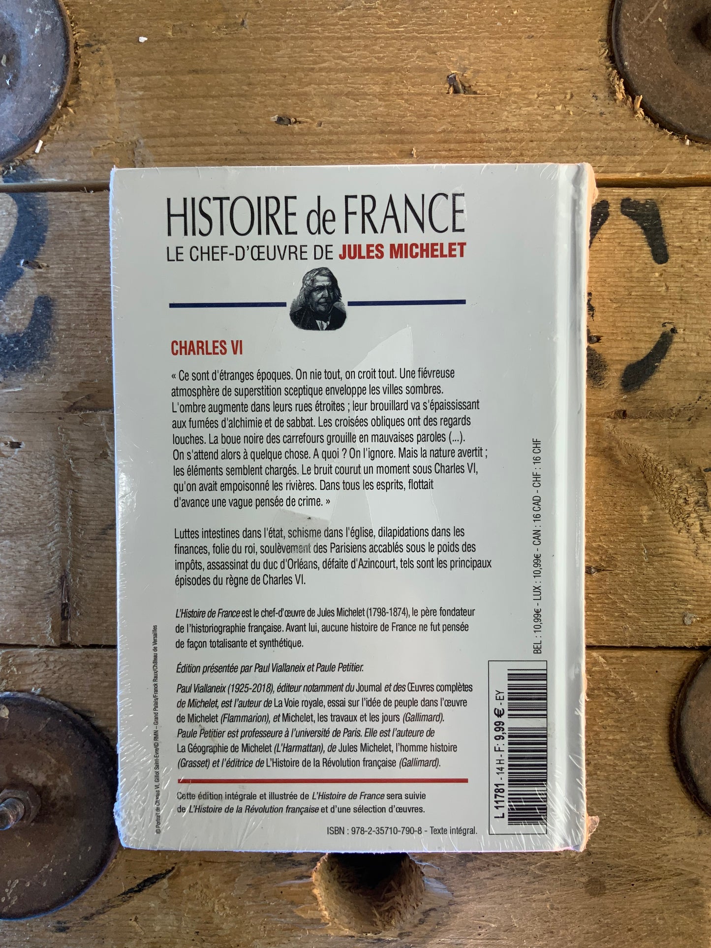 Histoire de France : Charles VI - Jules Michelet