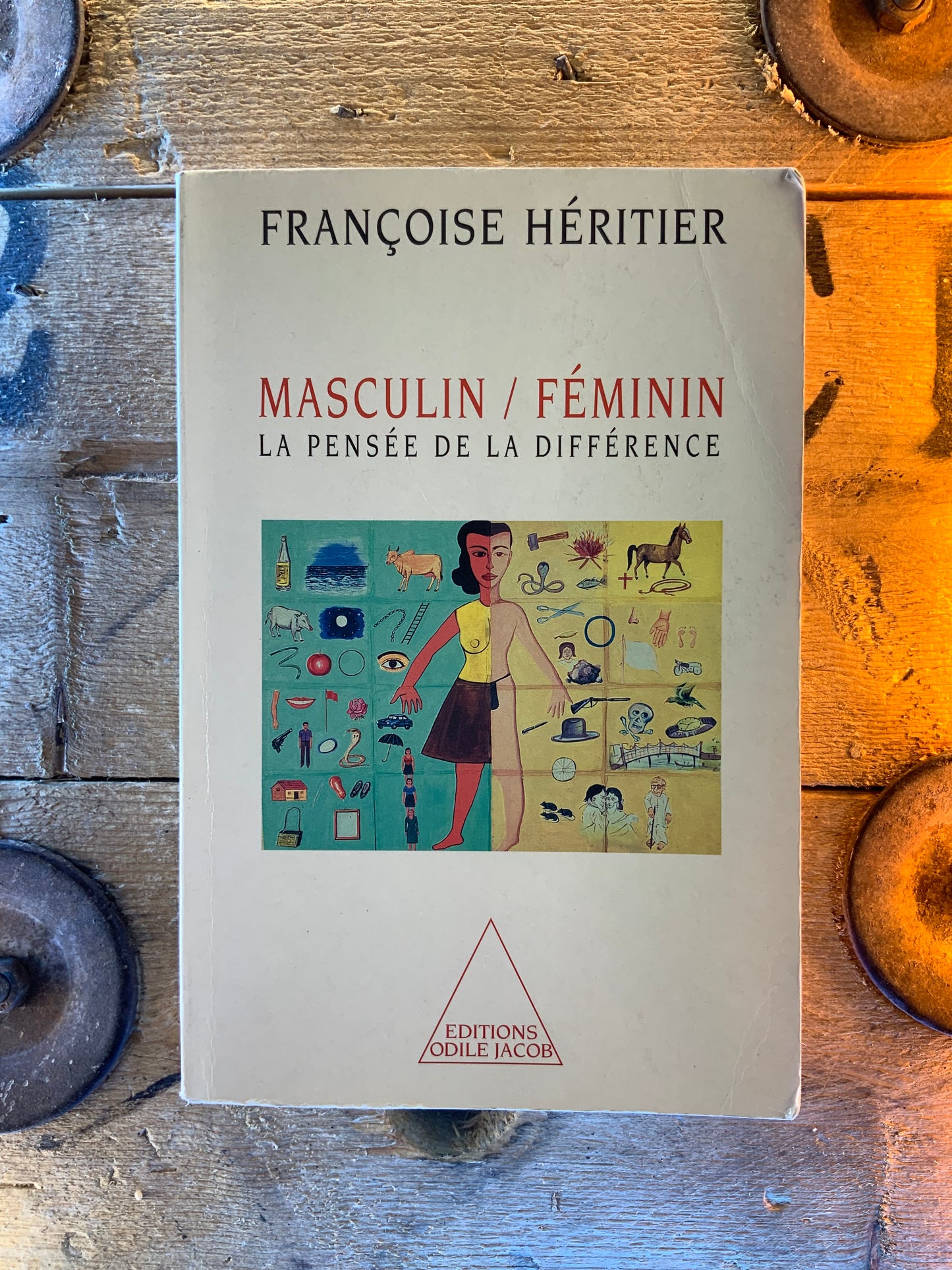 Masculin / Féminin : la pensée de la différence - Françoise Héritier