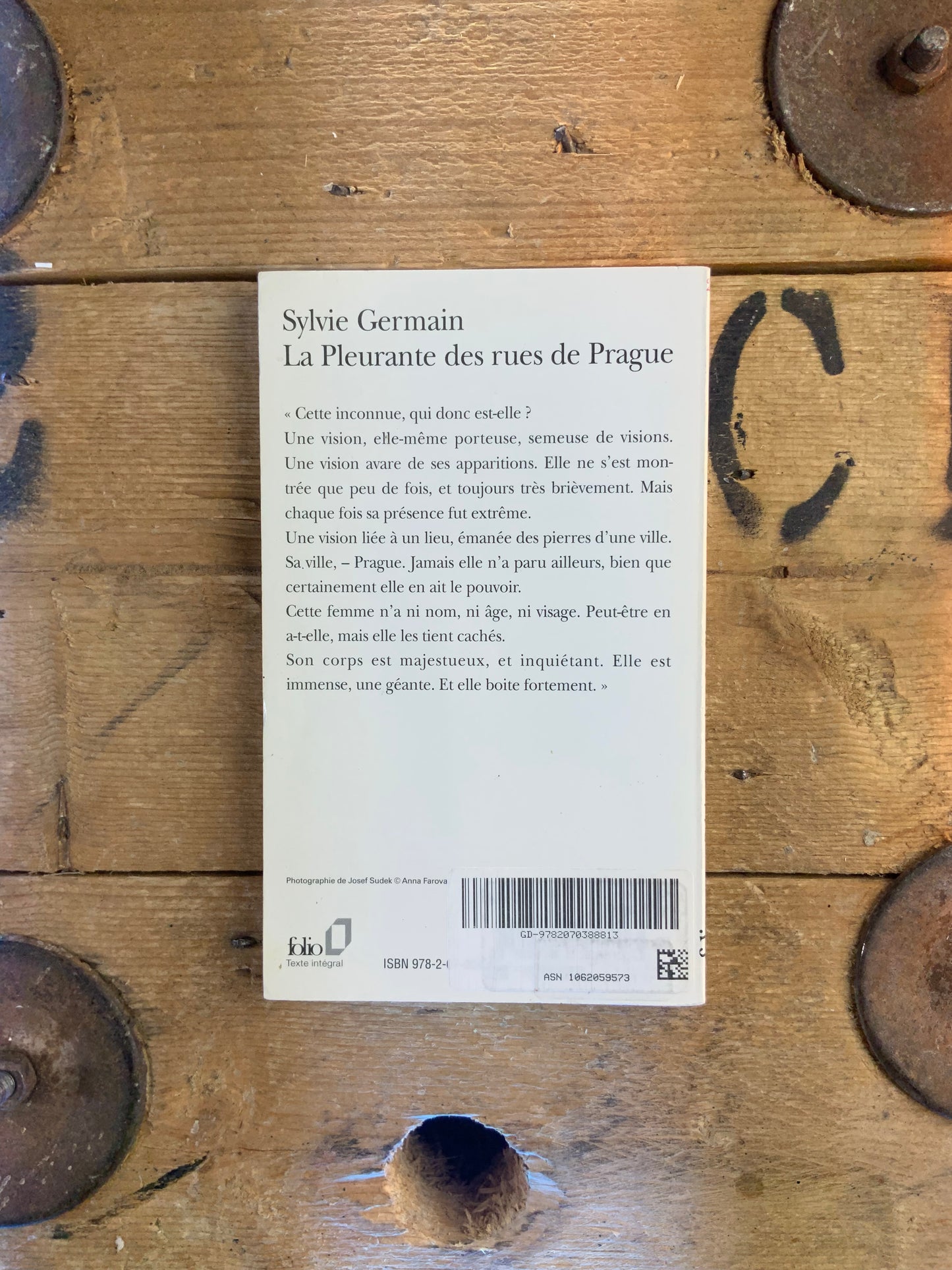 La pleurante des rues de Prague - Sylvie Germain