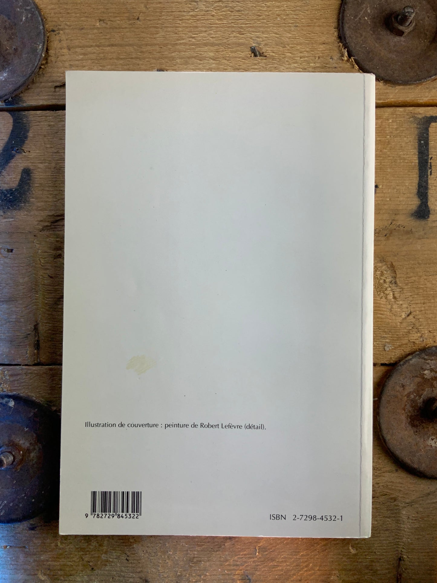 Le roman d’apprentissage en France au XIXe siècle