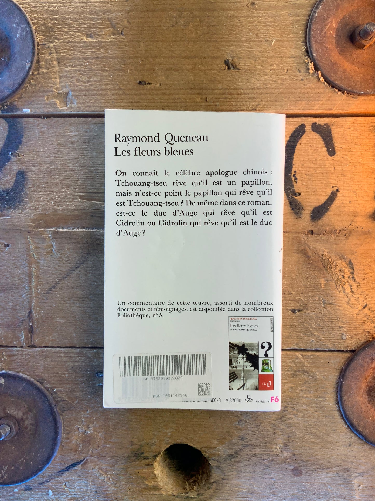 Les fleurs bleues - Raymond Queneau