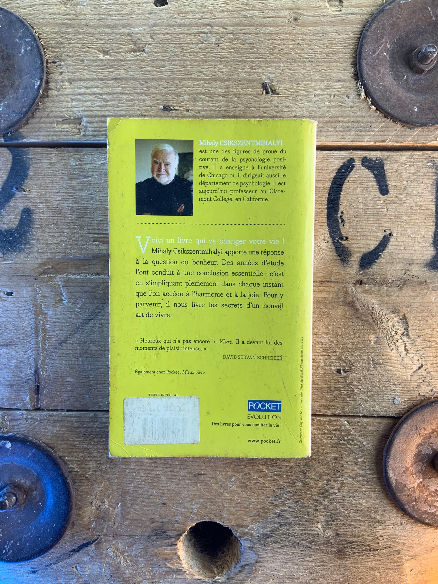Vivre : la psychologie du bonheur - Mihaly Csikszentmihalyi
