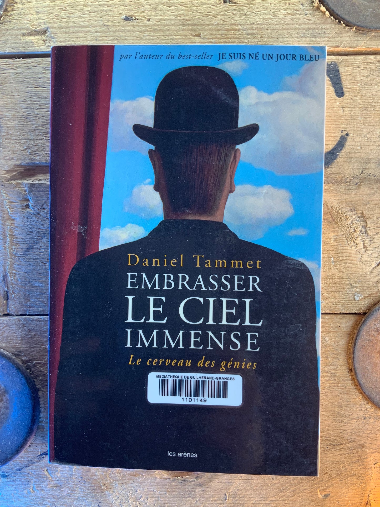 Embrasser le ciel immense : le cerveau des génies - Daniel Tammet