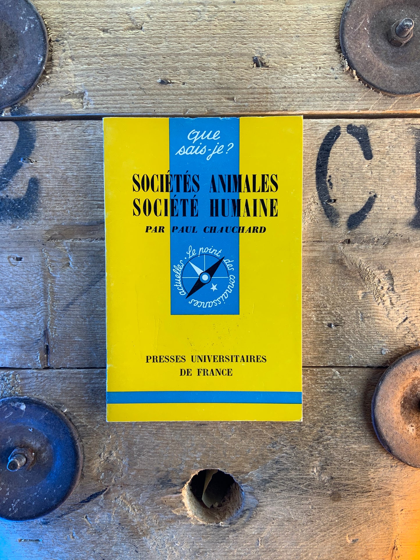 Sociétés animales, société humaine - Paul Chauchard