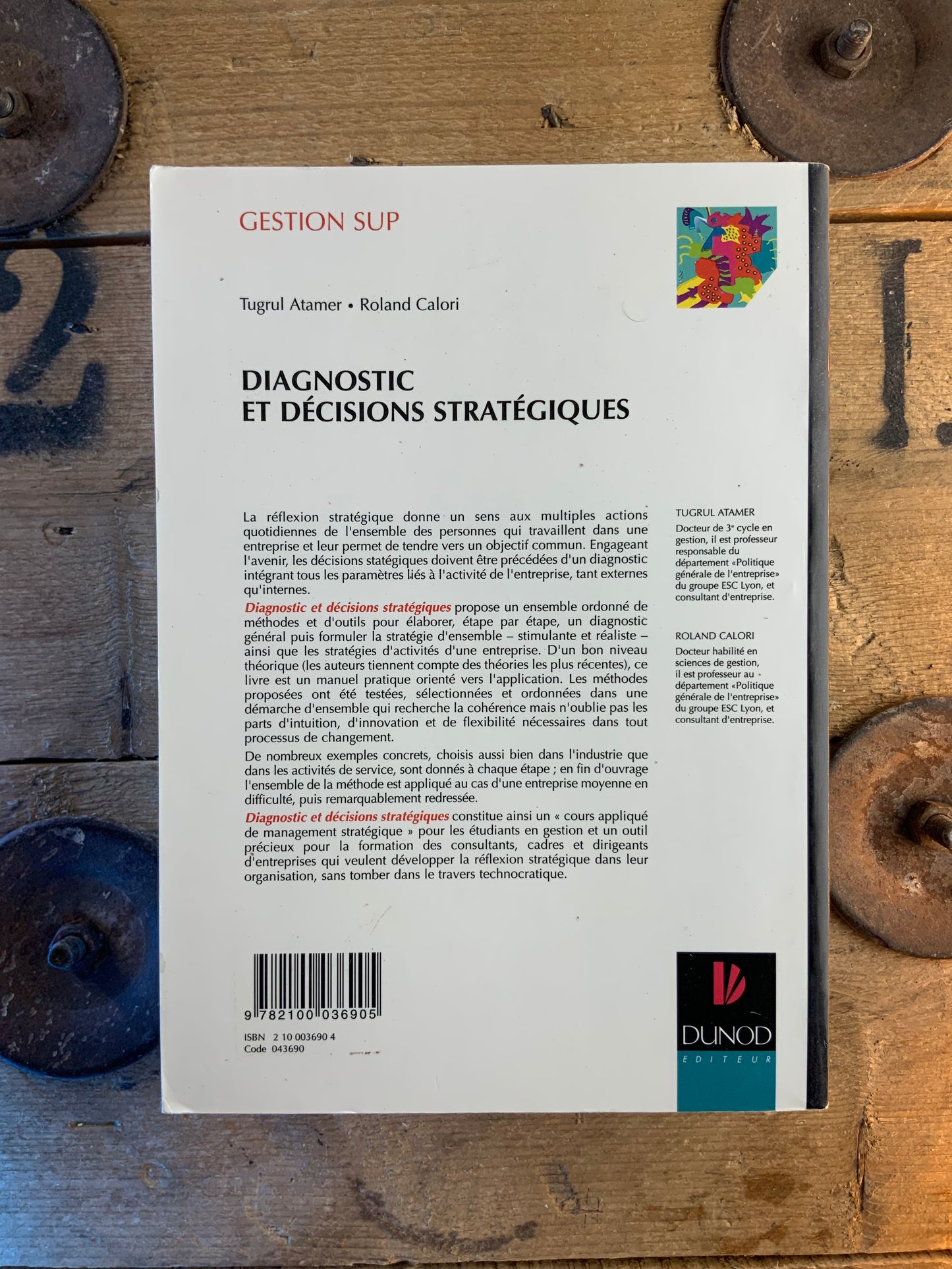 Diagnostic et décisions stratégiques - Tugrul Atamer et Roland Calori