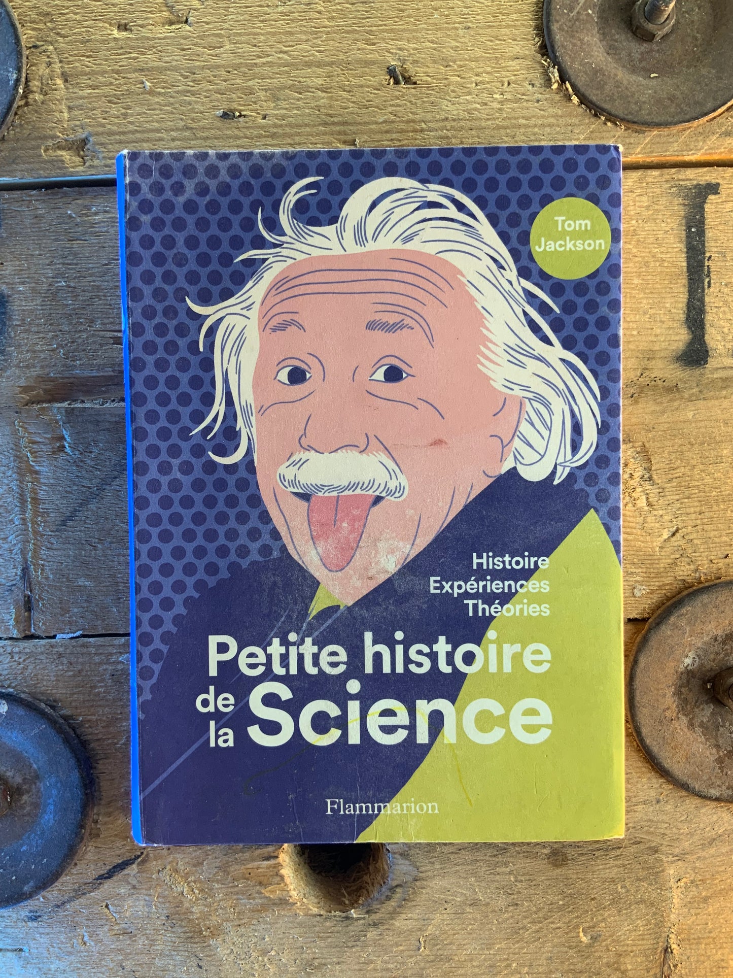 Petite histoire de la science : Histoires Expériences Théories - Tom Jackson