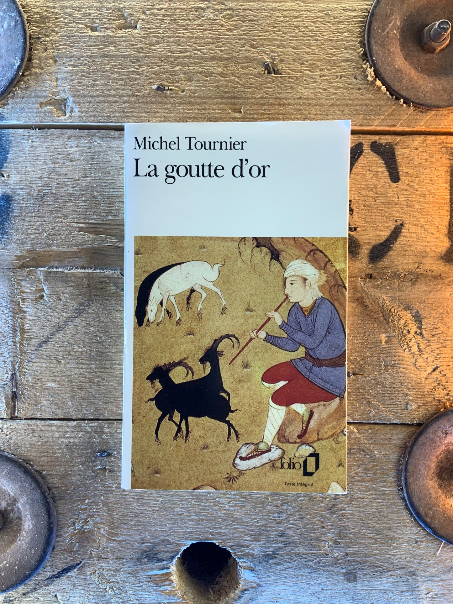 La goutte d’or - Michel Tournier