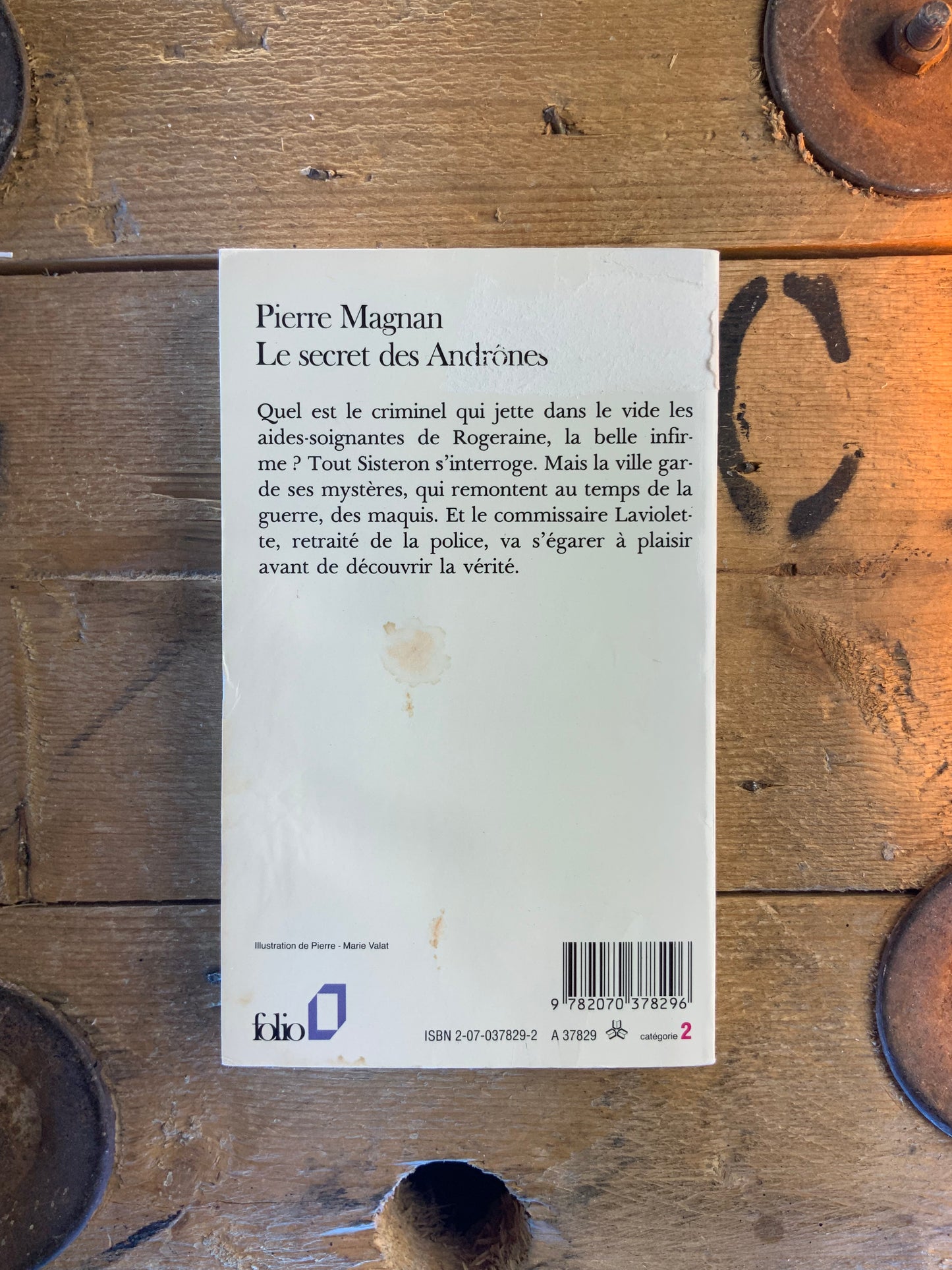 Le secret des Andrônes - Pierre Magnau