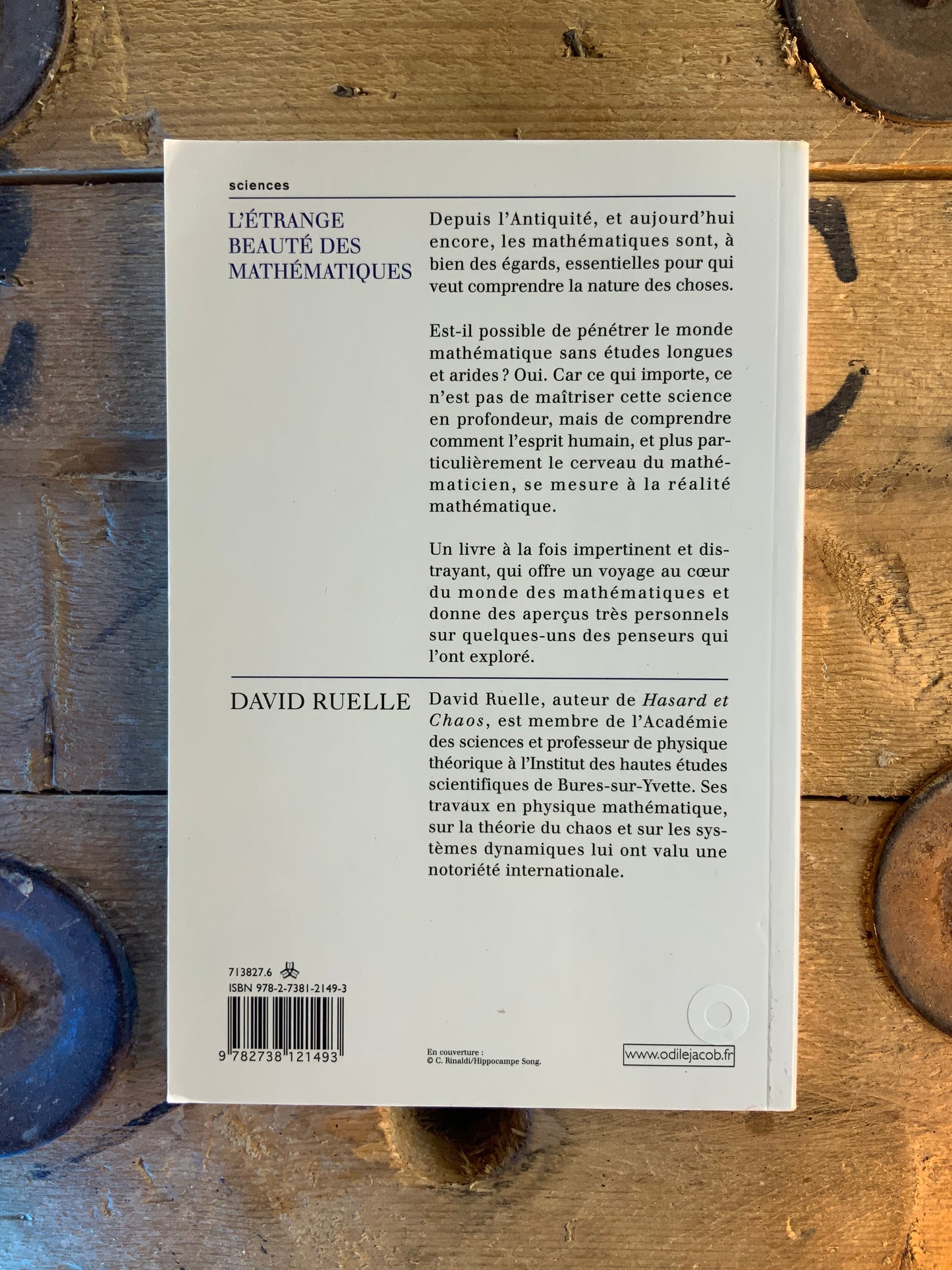 L’étrange beauté des mathématiques - David Ruelle