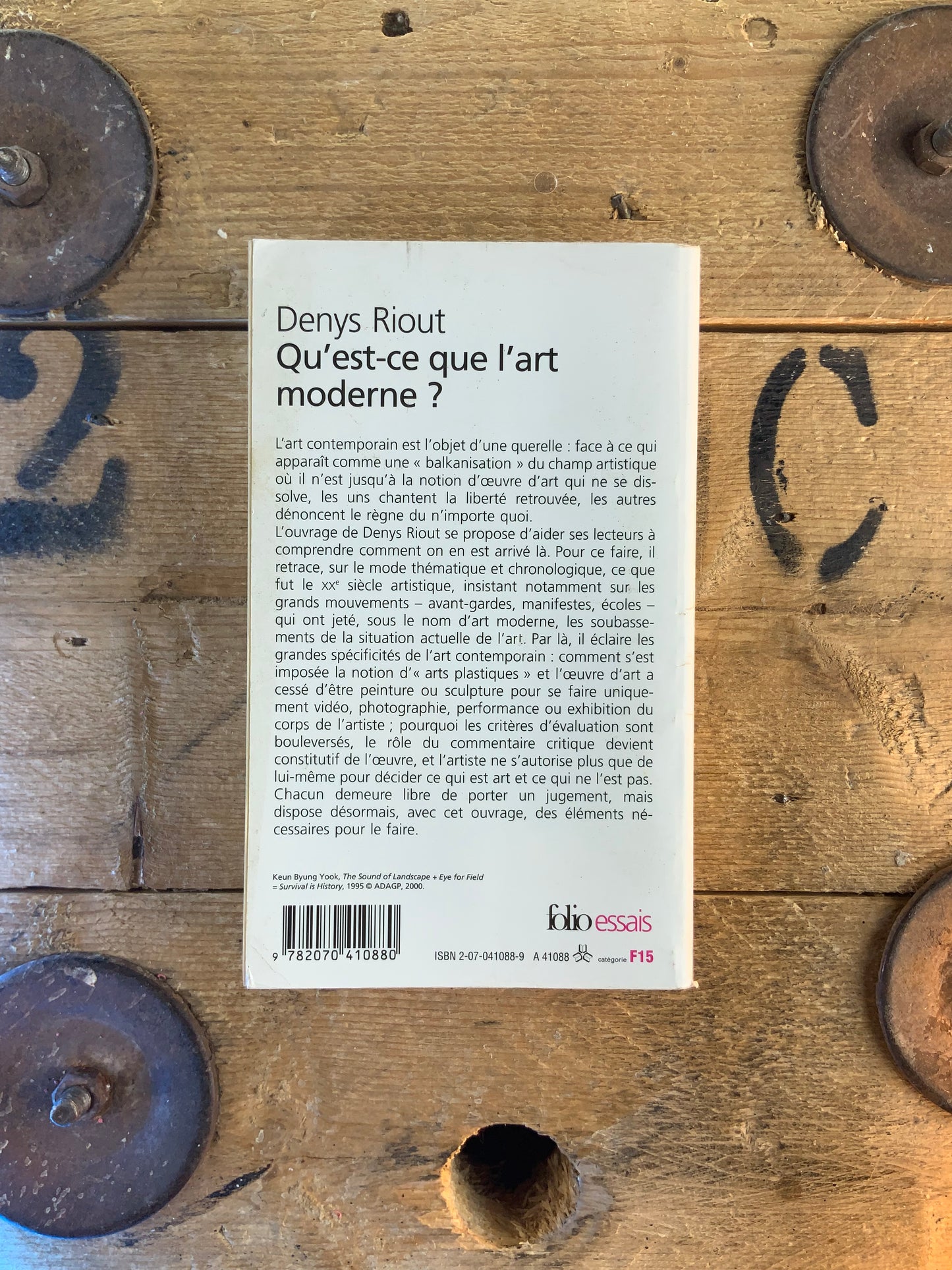 Qu’est-ce que l’art moderne ? - Denys Riout
