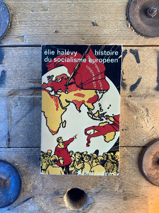 Histoire du socialisme européen - Élie Halévy