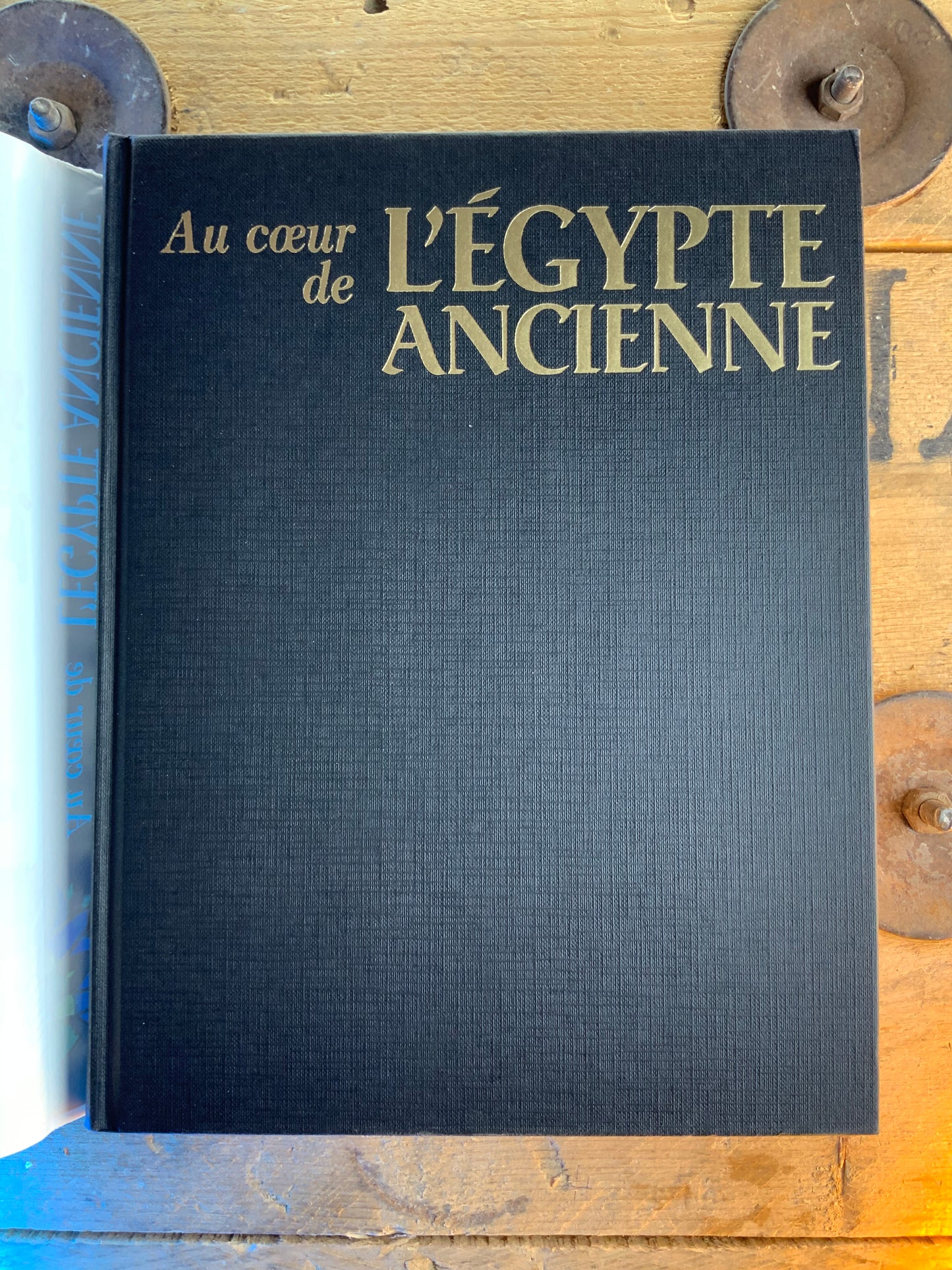 Au cœur de l’Égypte Ancienne - David P. Silverman