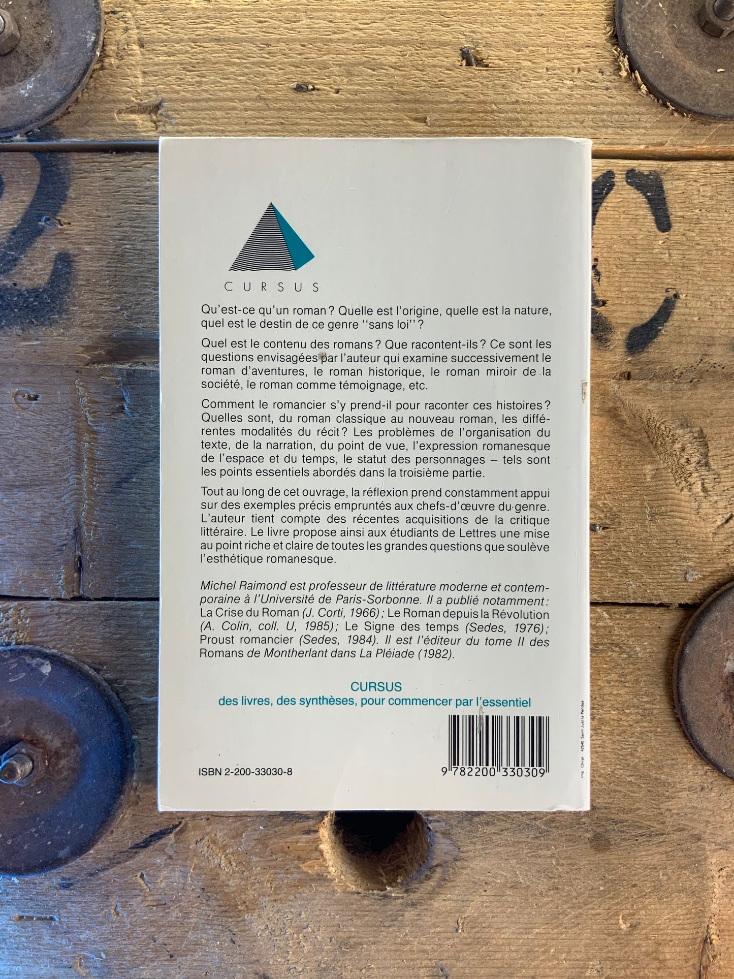 Le roman - Michel Raimond