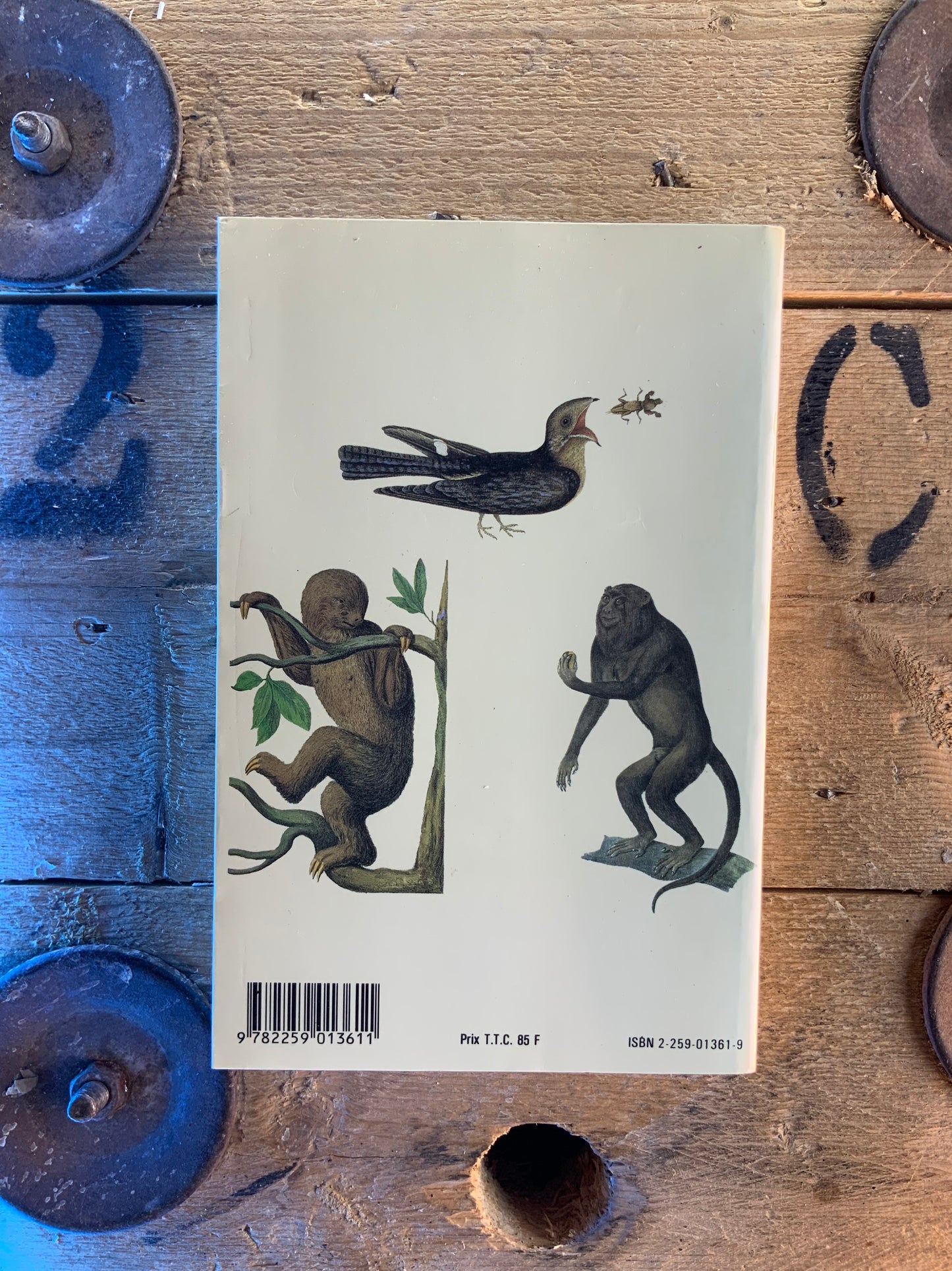 La potière jalouse - Claude Lévi-Strauss