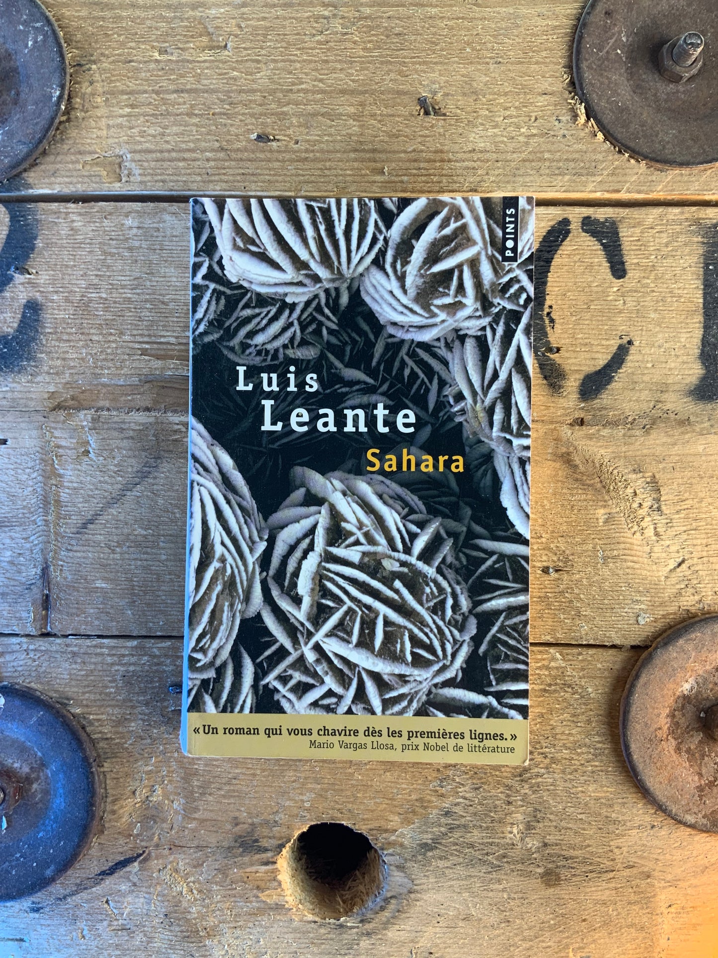 Sahara - Luis Leante