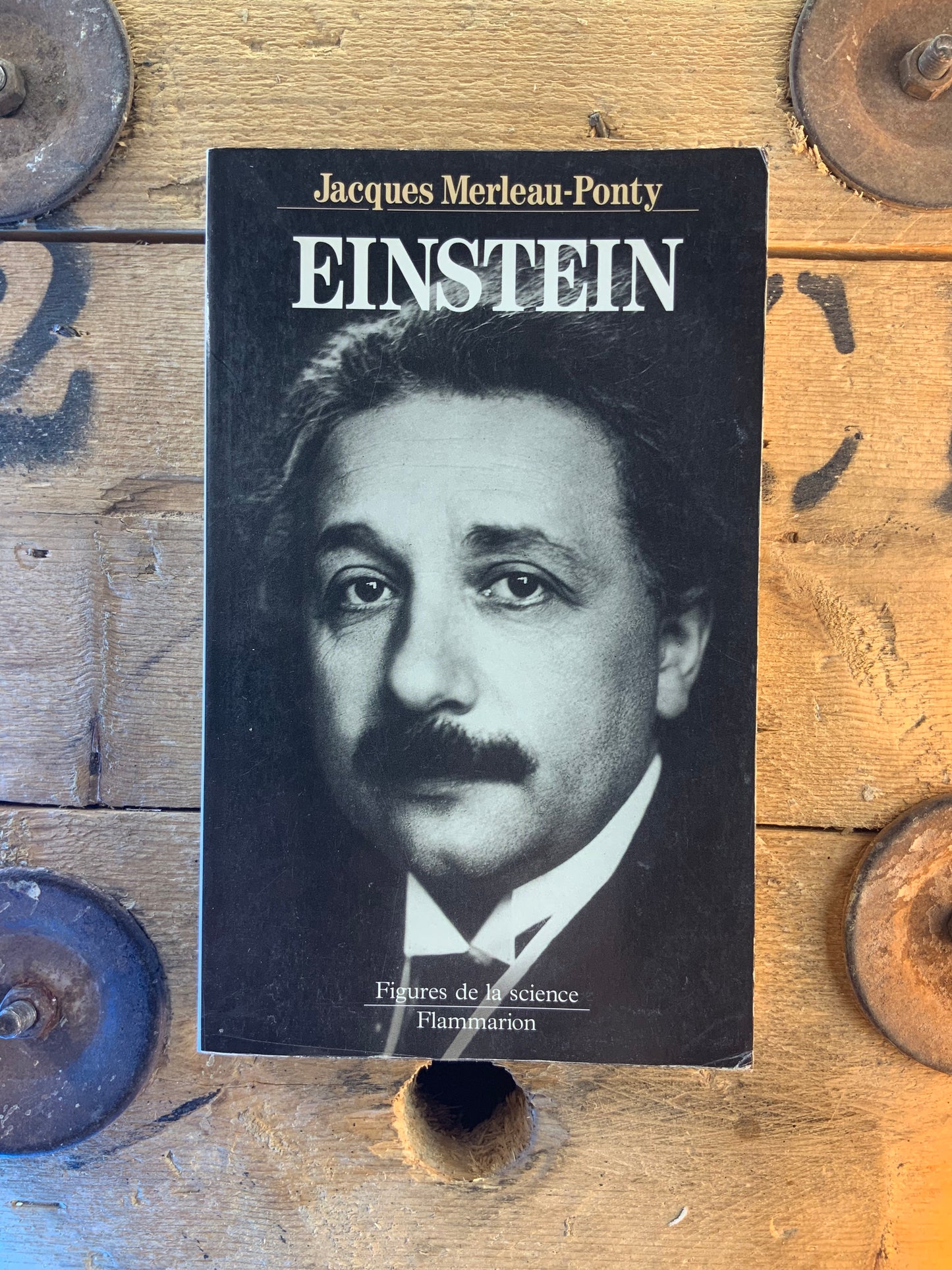 Einstein - Jacques Mearleau-Ponty