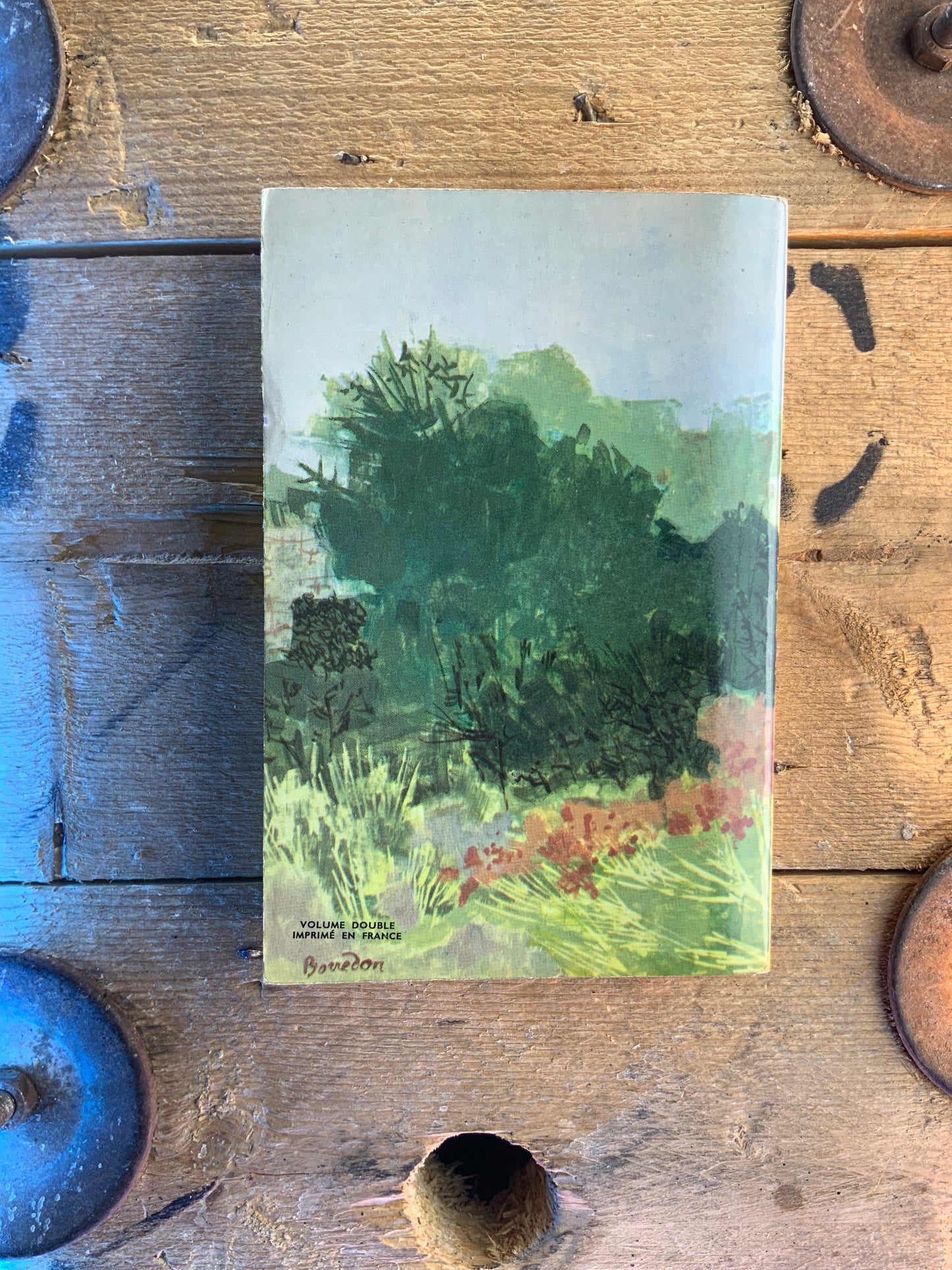 La faute de l’Abbé Mouret - Émile Zola