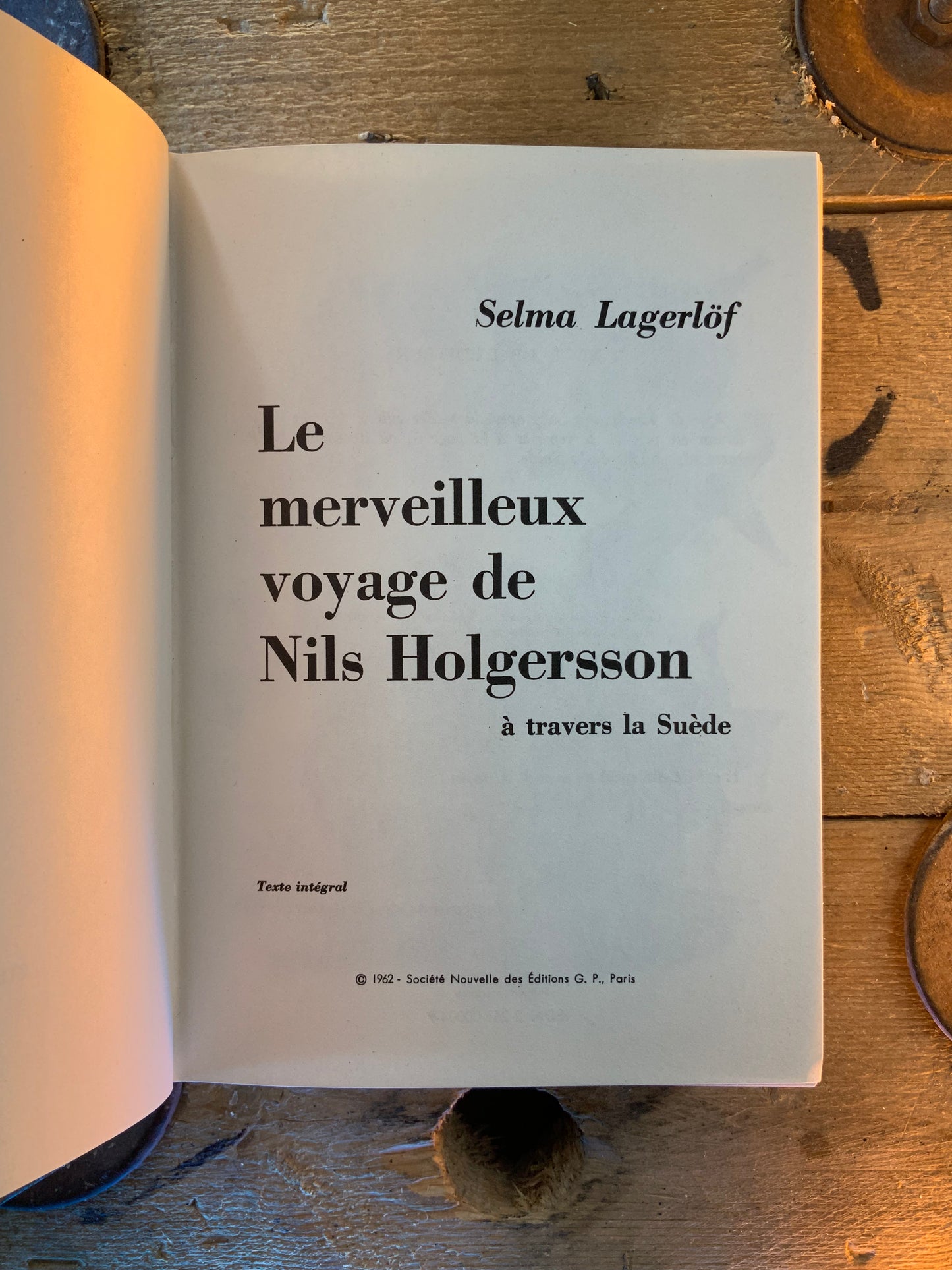 Le merveilleux voyage de Nils Holgersson - Selma Lagerlöf