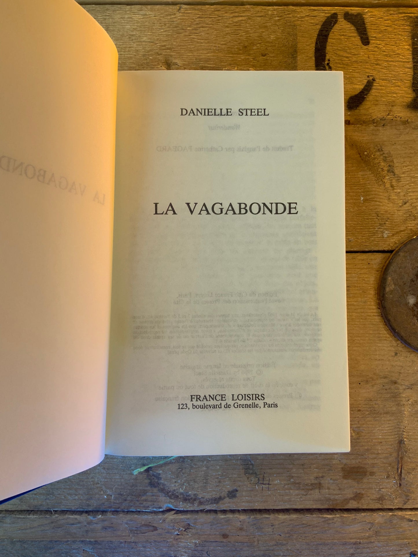 La vagabonde - Danielle Steel