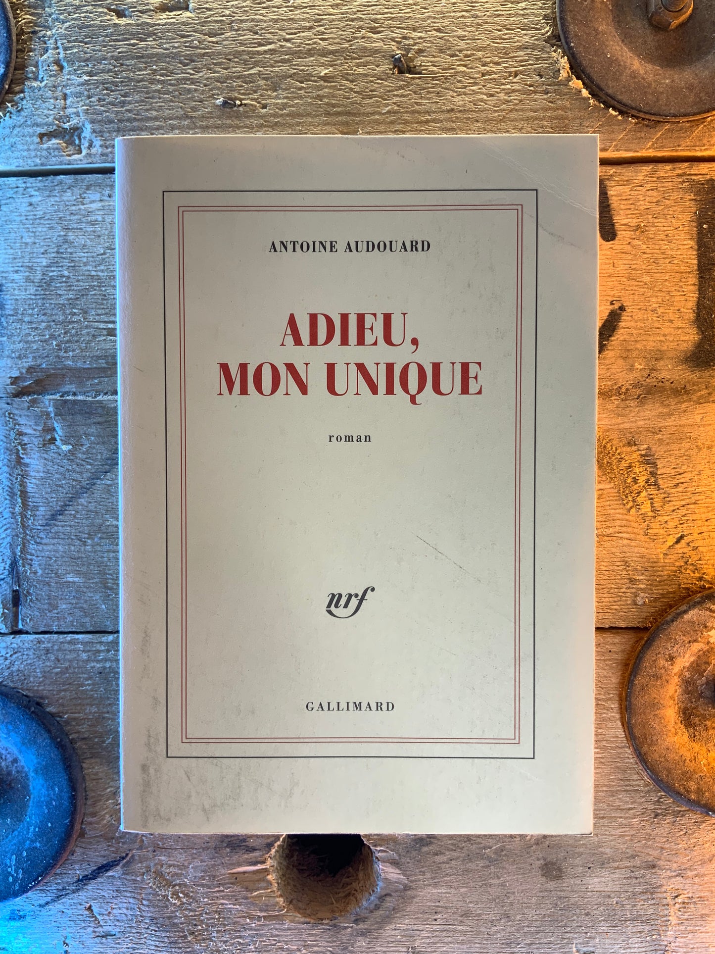 Adieu, mon unique - Antoine Audouard