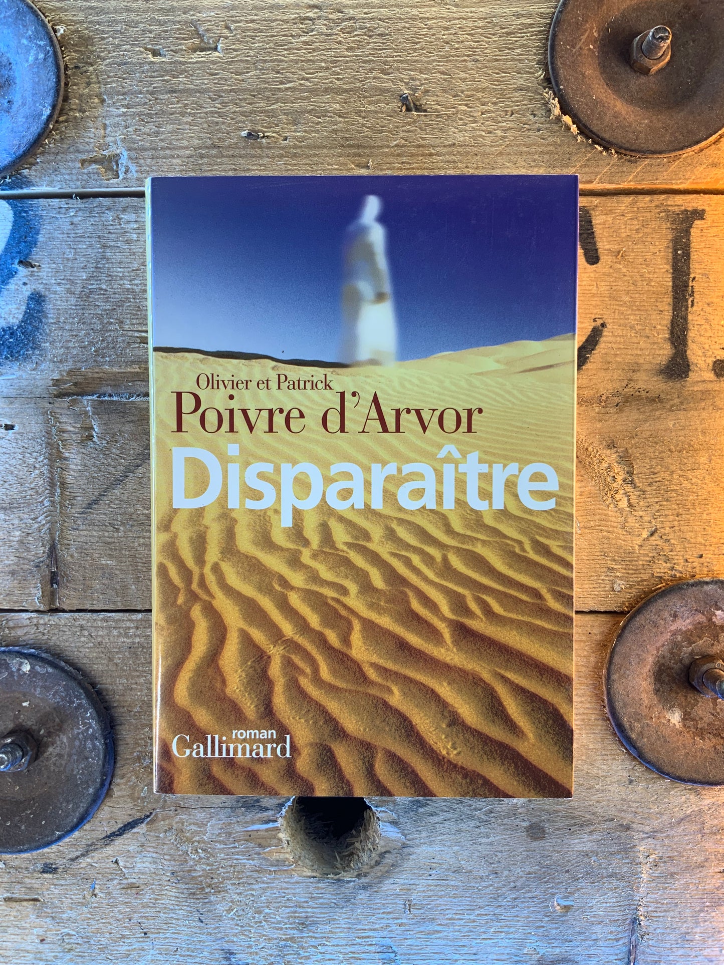 Disparaître - Olivier et Patrick Poivre d’Arvor