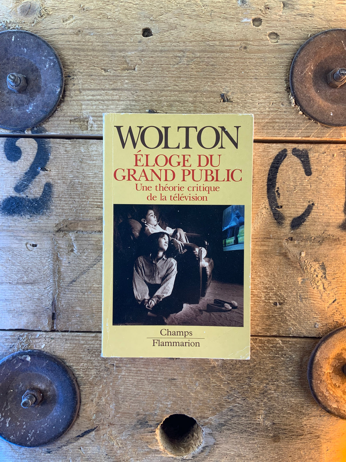 Éloge du grand public : une théorie critique de la télévision - Dominique Wolton