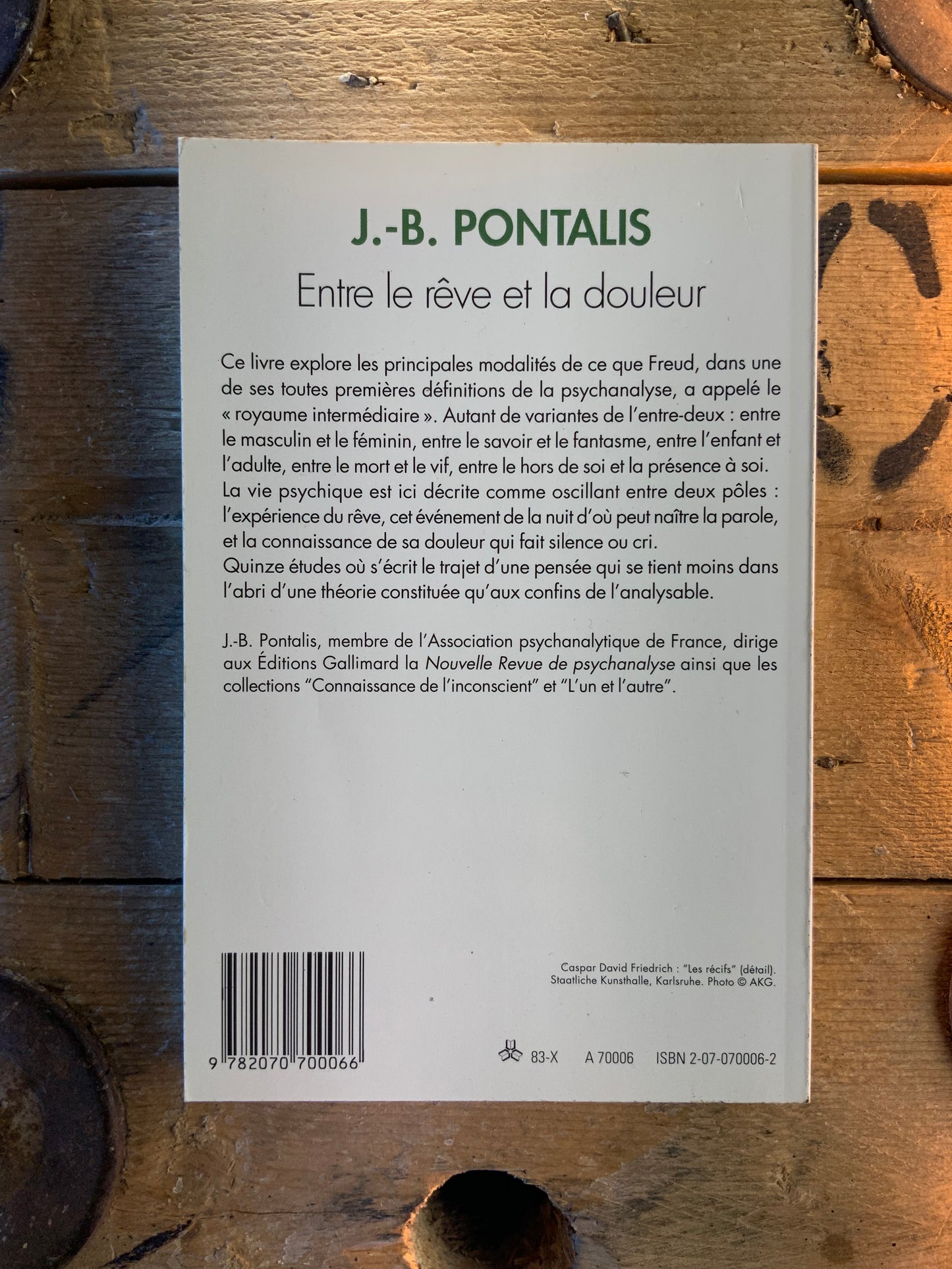 Entre le rêve et la douleur - J.-B. Pontalis