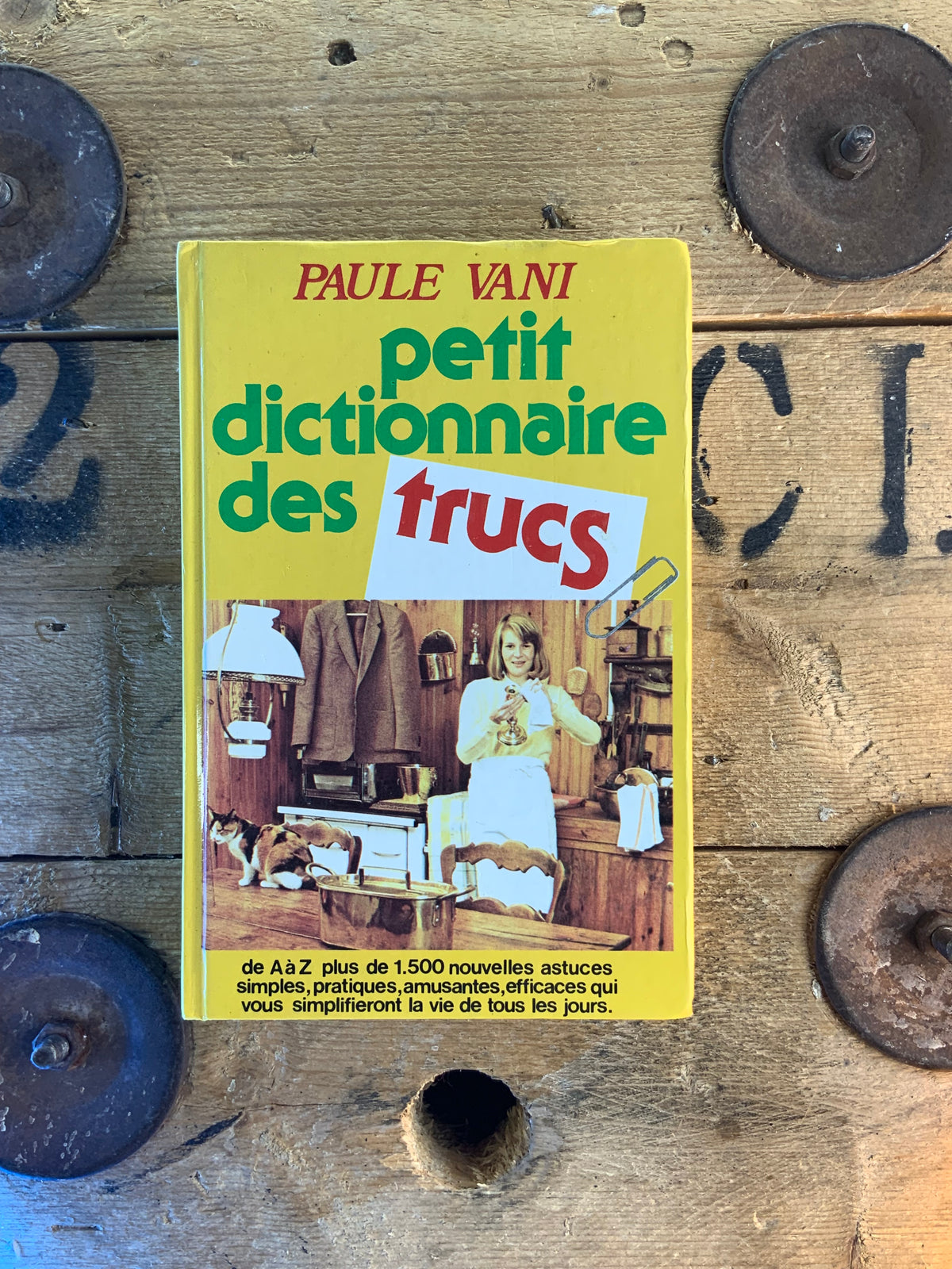 Petit dictionnaire des trucs - Paule Vani