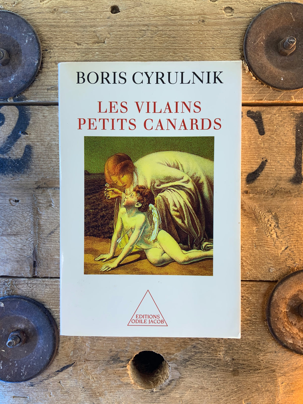 Les vilains petits canards - Boris Cyrulnik