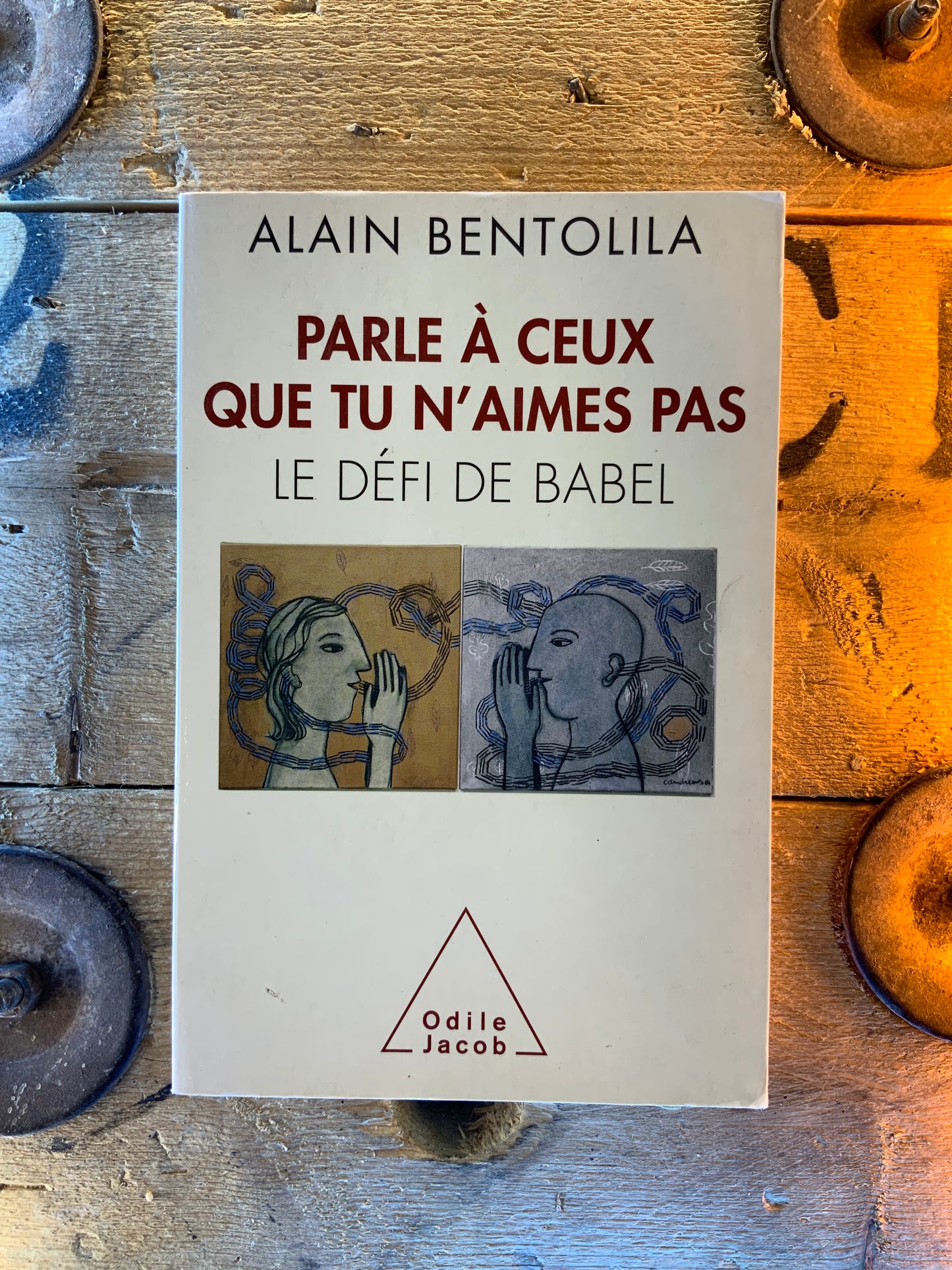 Parle à ceux que tu n’aimes pas : le défi de Babel - Alain Bentolila