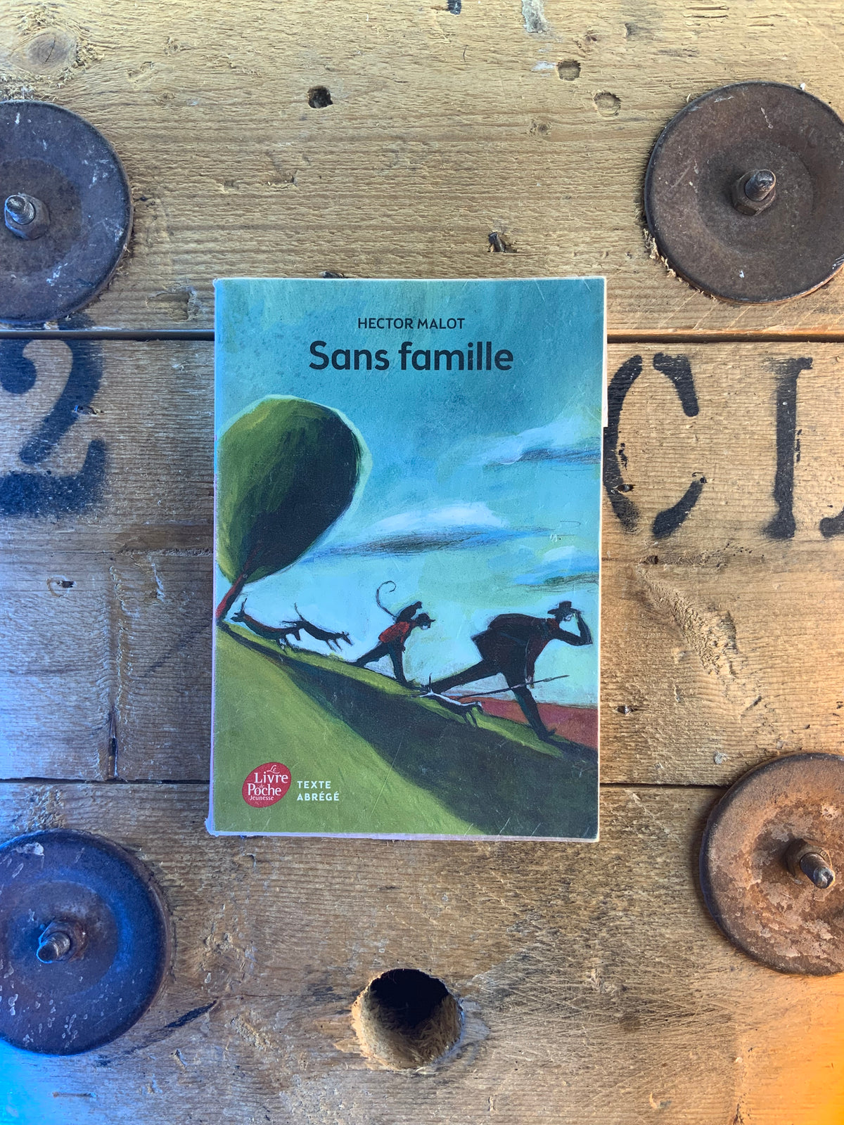 Sans famille - Hector Malot