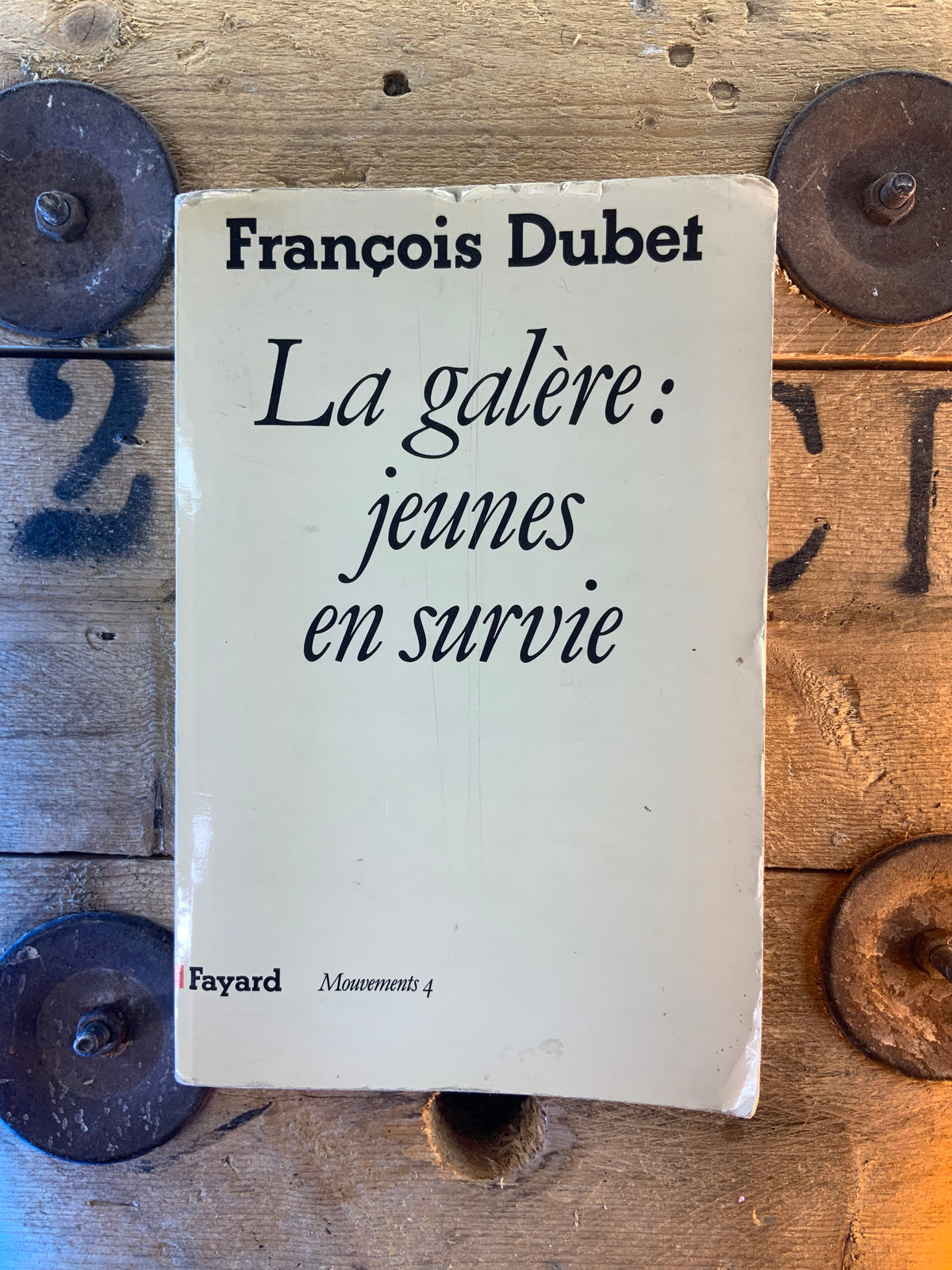 La galère : jeunes en survie - François Dubet