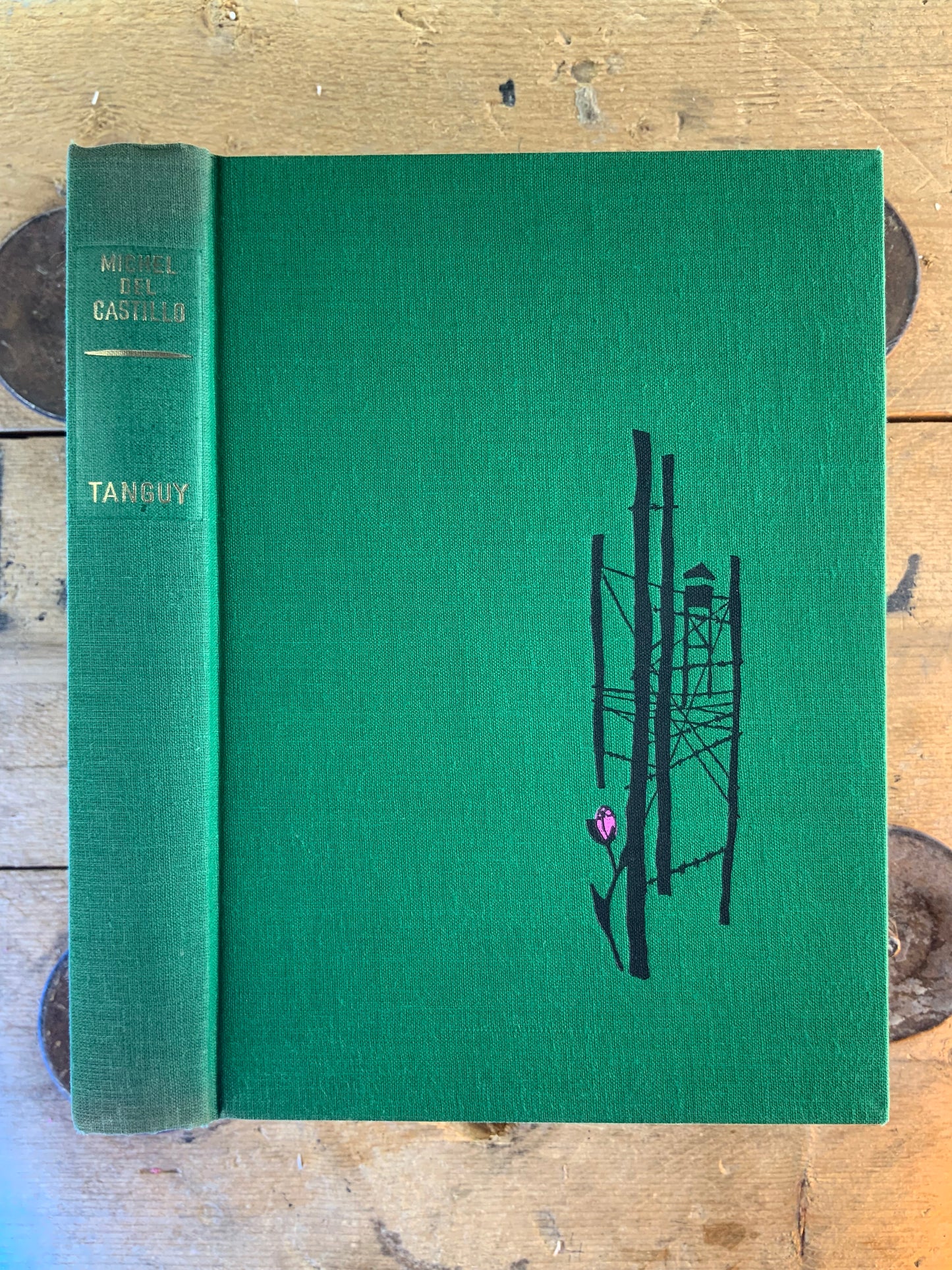 Tanguy - Michel del Castillo [ illustré ]