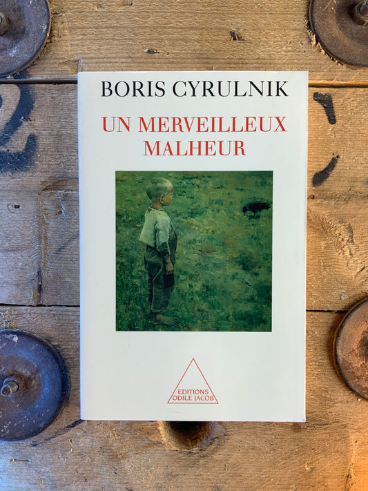 Un merveilleux malheur - Boris Cyrulnik
