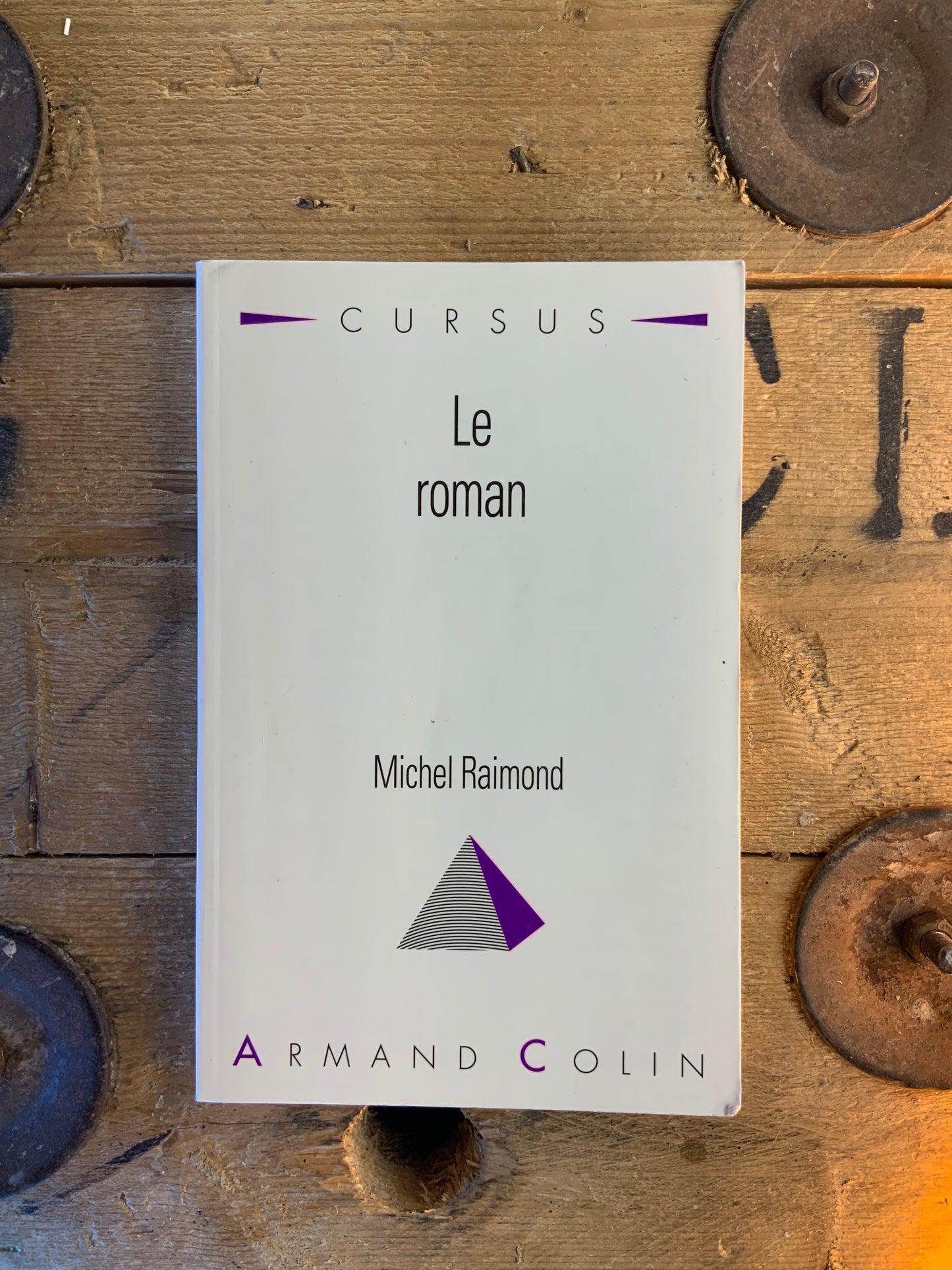 Le roman - Michel Raimond