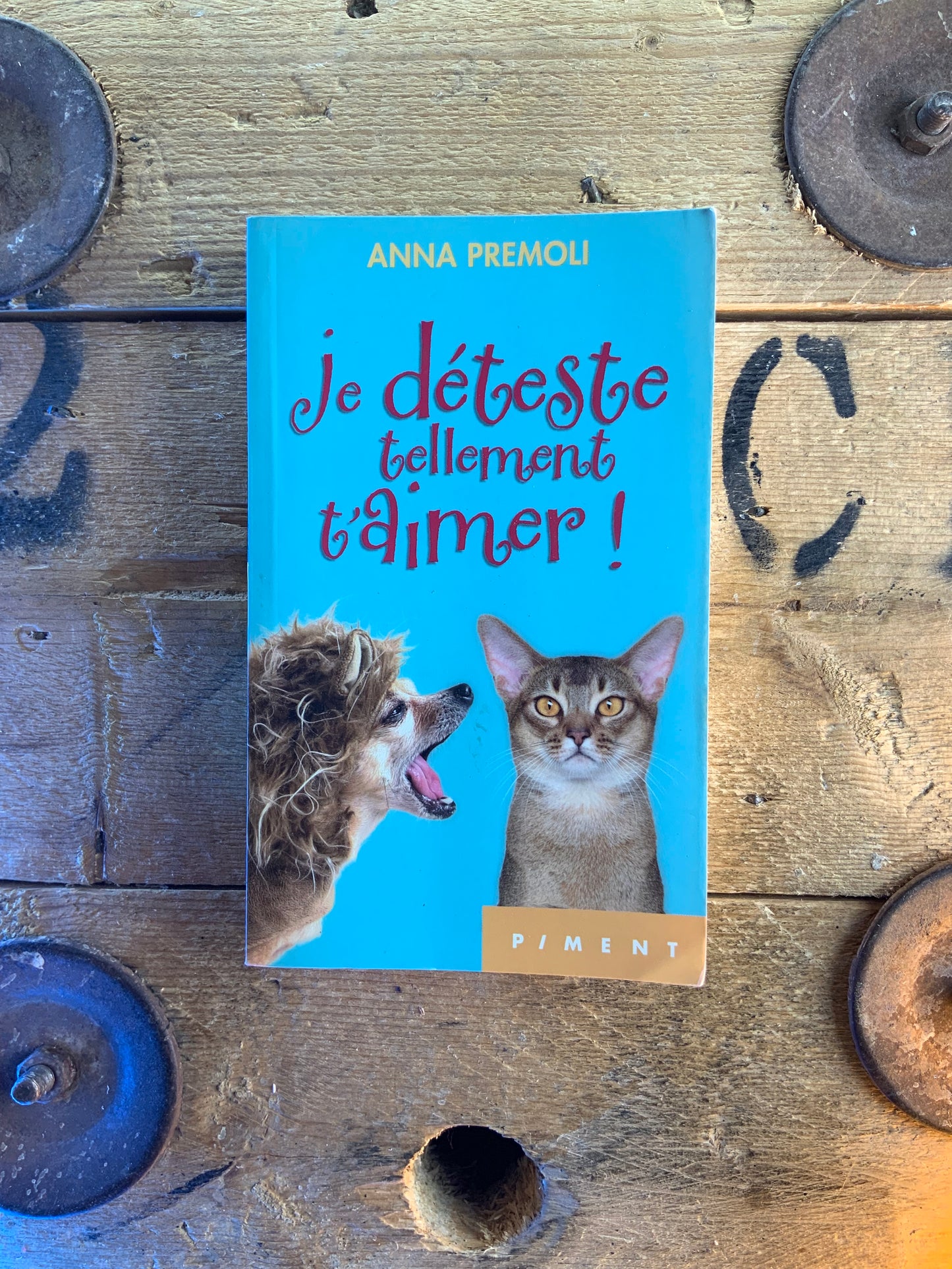 Je déteste tellement t’aimer - Anna Permoli