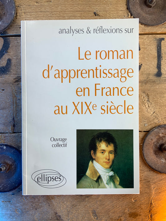 Le roman d’apprentissage en France au XIXe siècle