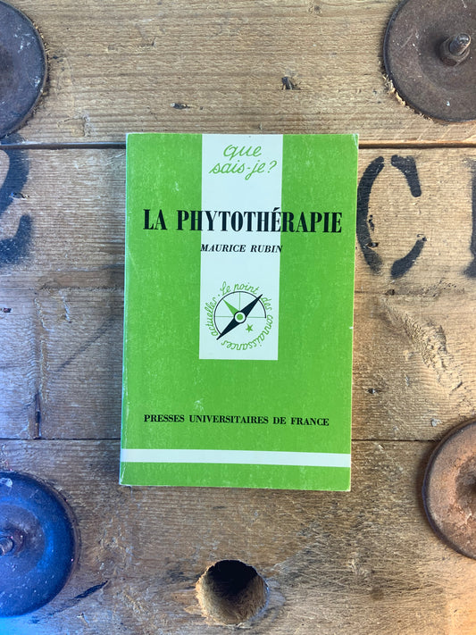 La psychothérapie - Maurice Rubin