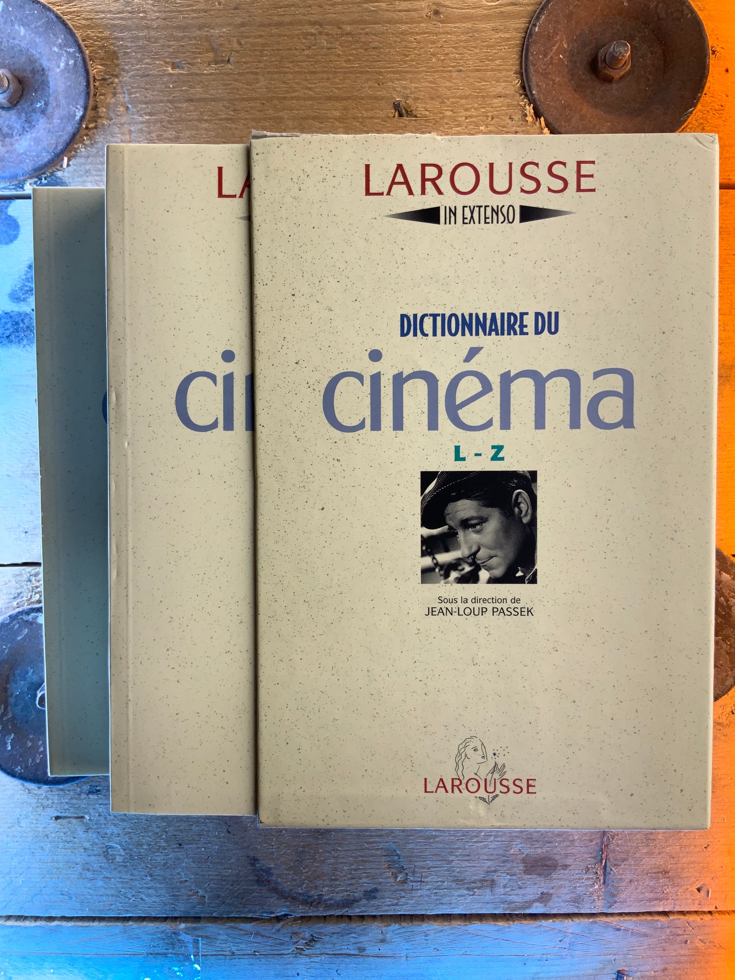 Dictionnaire du cinéma (en 2 volumes)