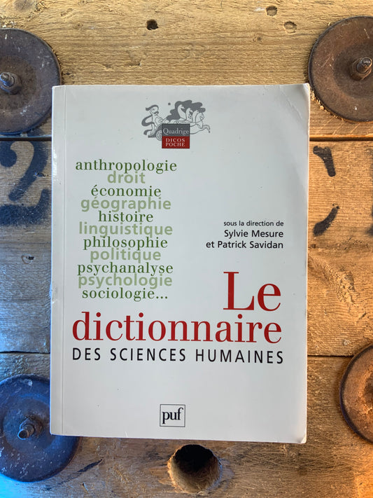 Le dictionnaire des sciences humaines - Sylvie Mesure et Patrick Savidan