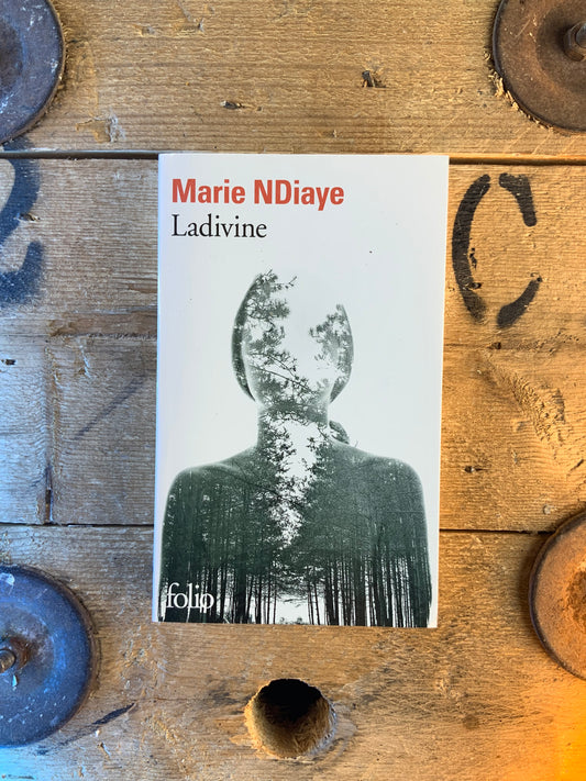 Ladivine - Marie NDiaye
