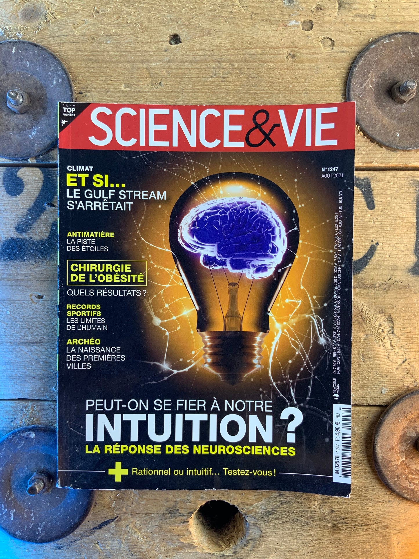 Peut-on se fier à notre intuition ? La réponse des neurosciences [ Science & Vie ]