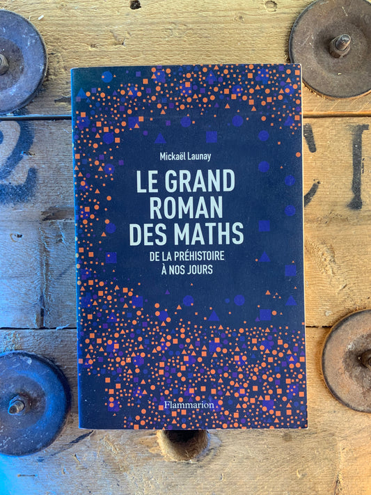 Le grand roman des maths : de la préhistoire à nos jours - Mikaël Launay