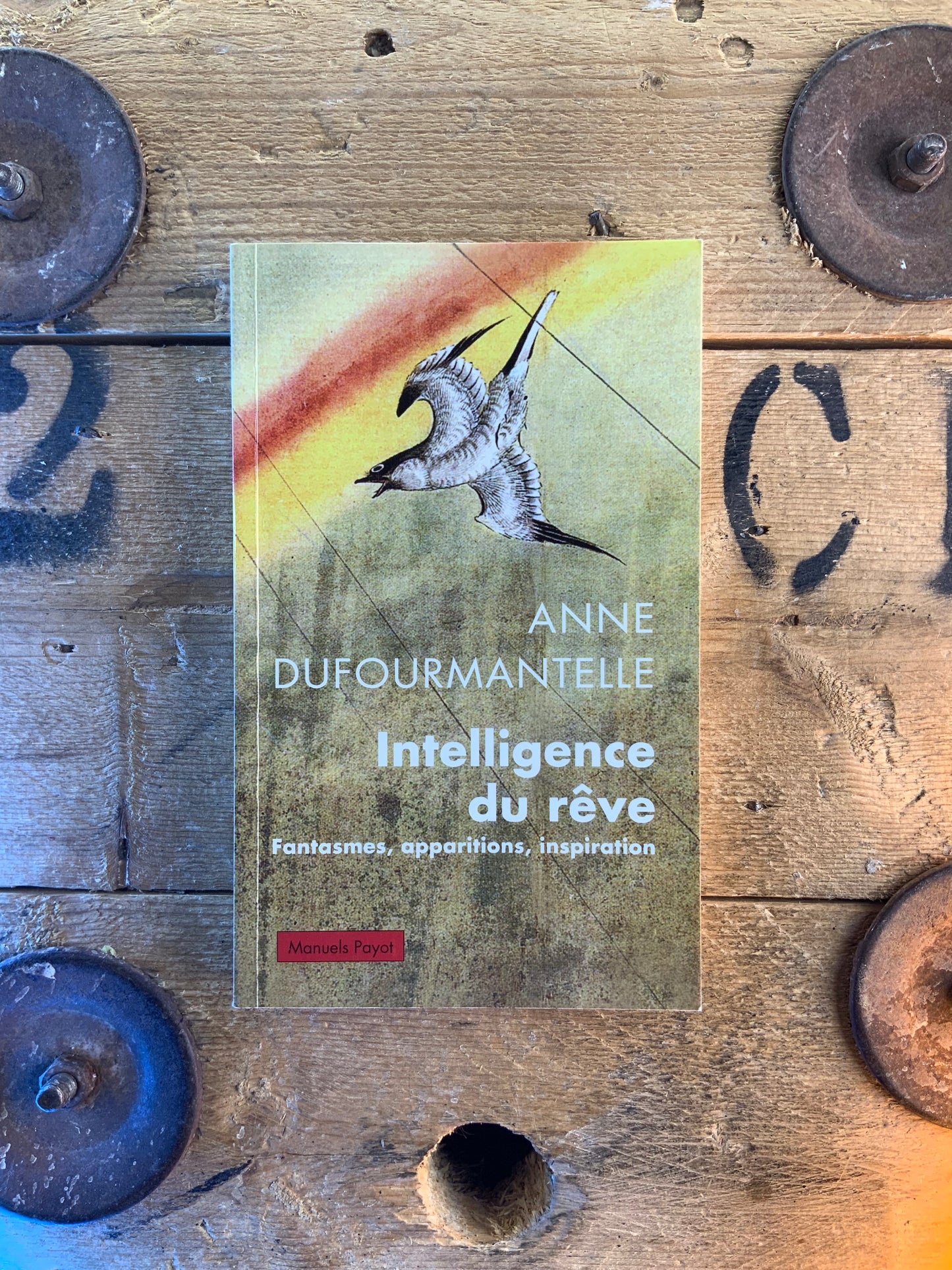 Intelligence du rêve : fantasmes, apparitions, inspiration - Anne Dufourmantelle