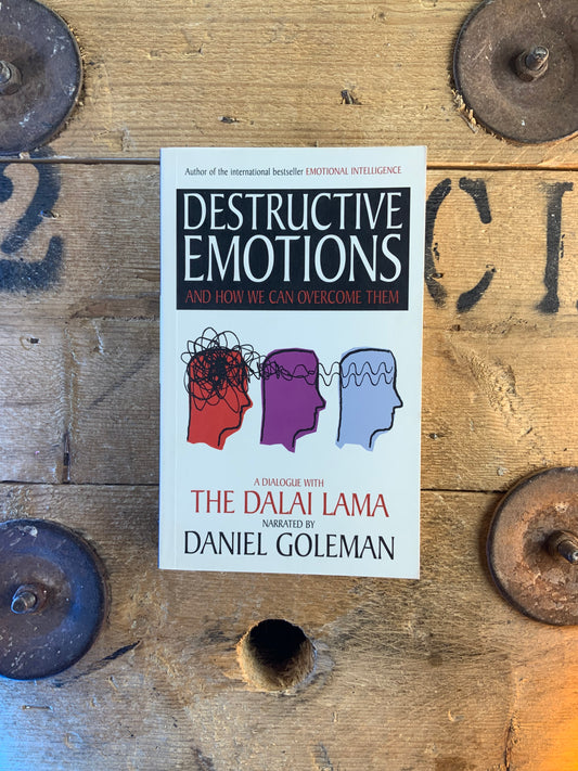 Destructive emotions : and how we can overcome them - a dialogue with The Dalai Lama - Daniel Goleman