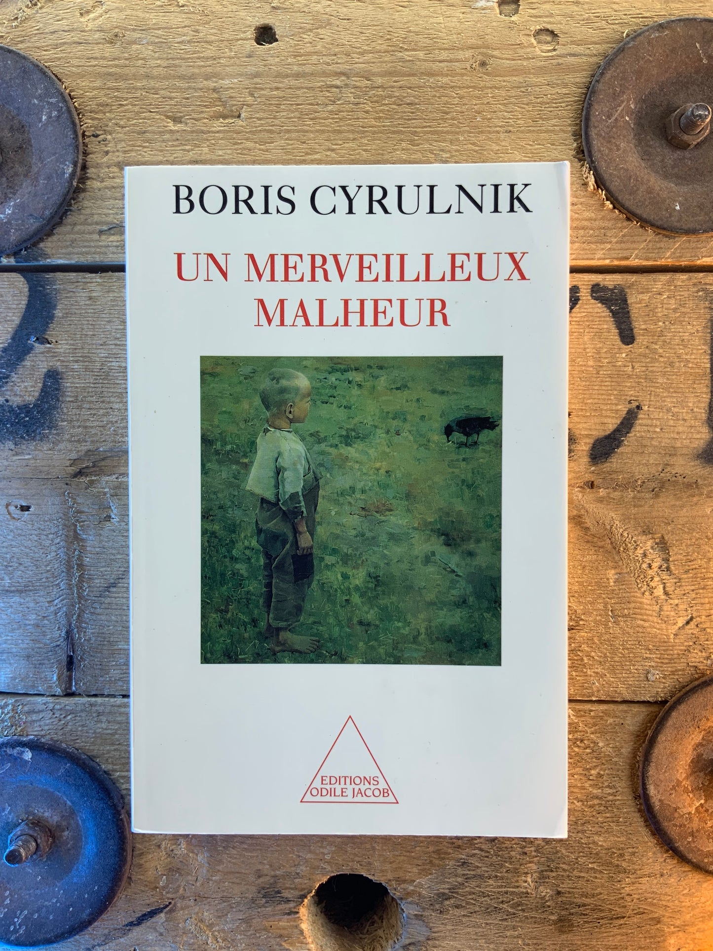 Un merveilleux malheur - Boris Cyrulnik