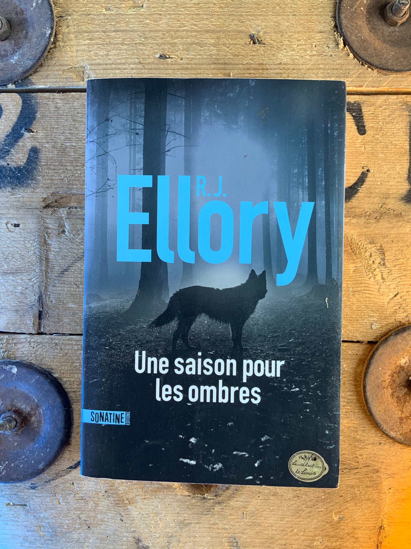 Une raison pour les ombres - R. J. Ellory