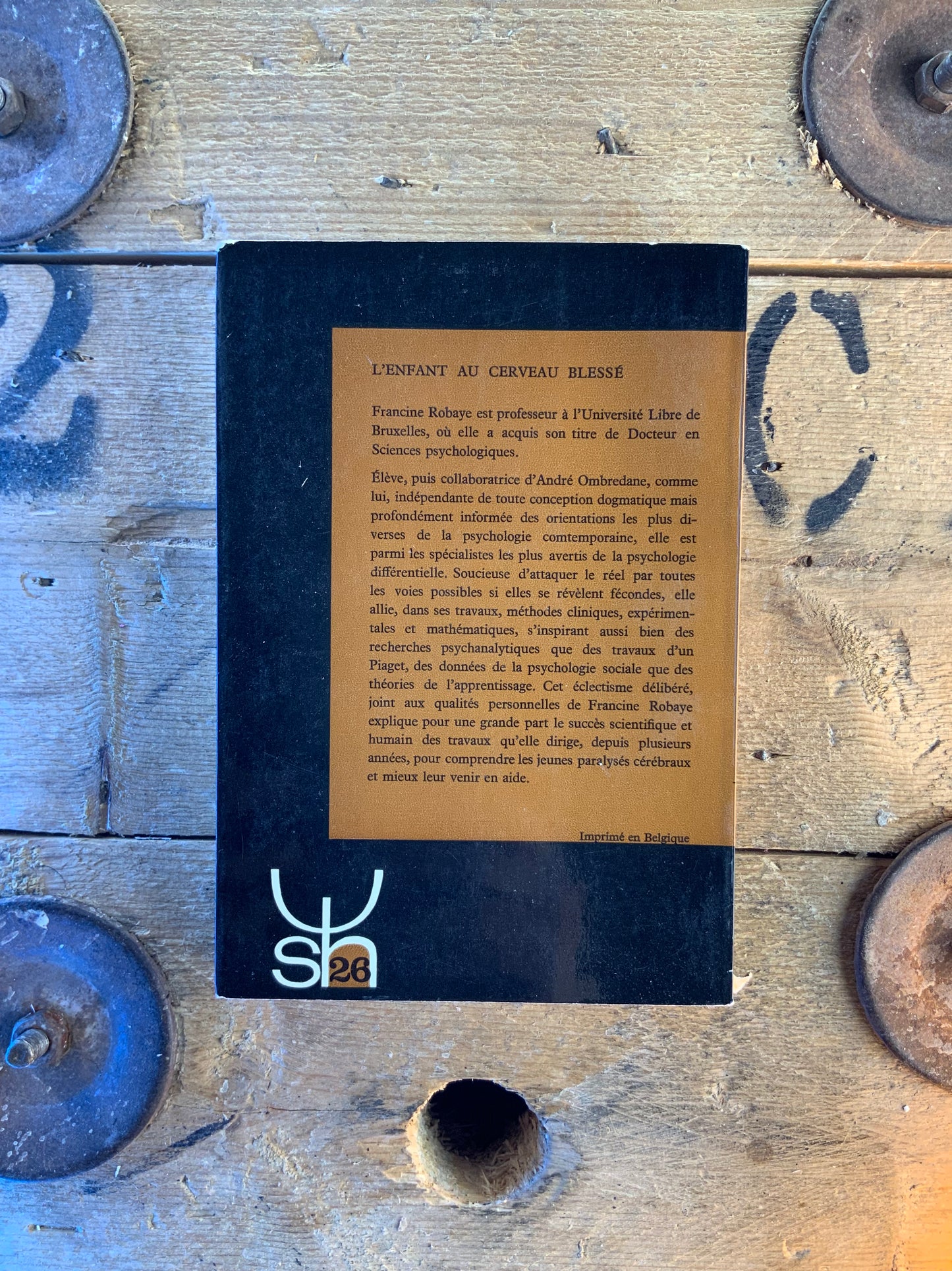 L’enfant au cerveau blessé - Francine Robaye